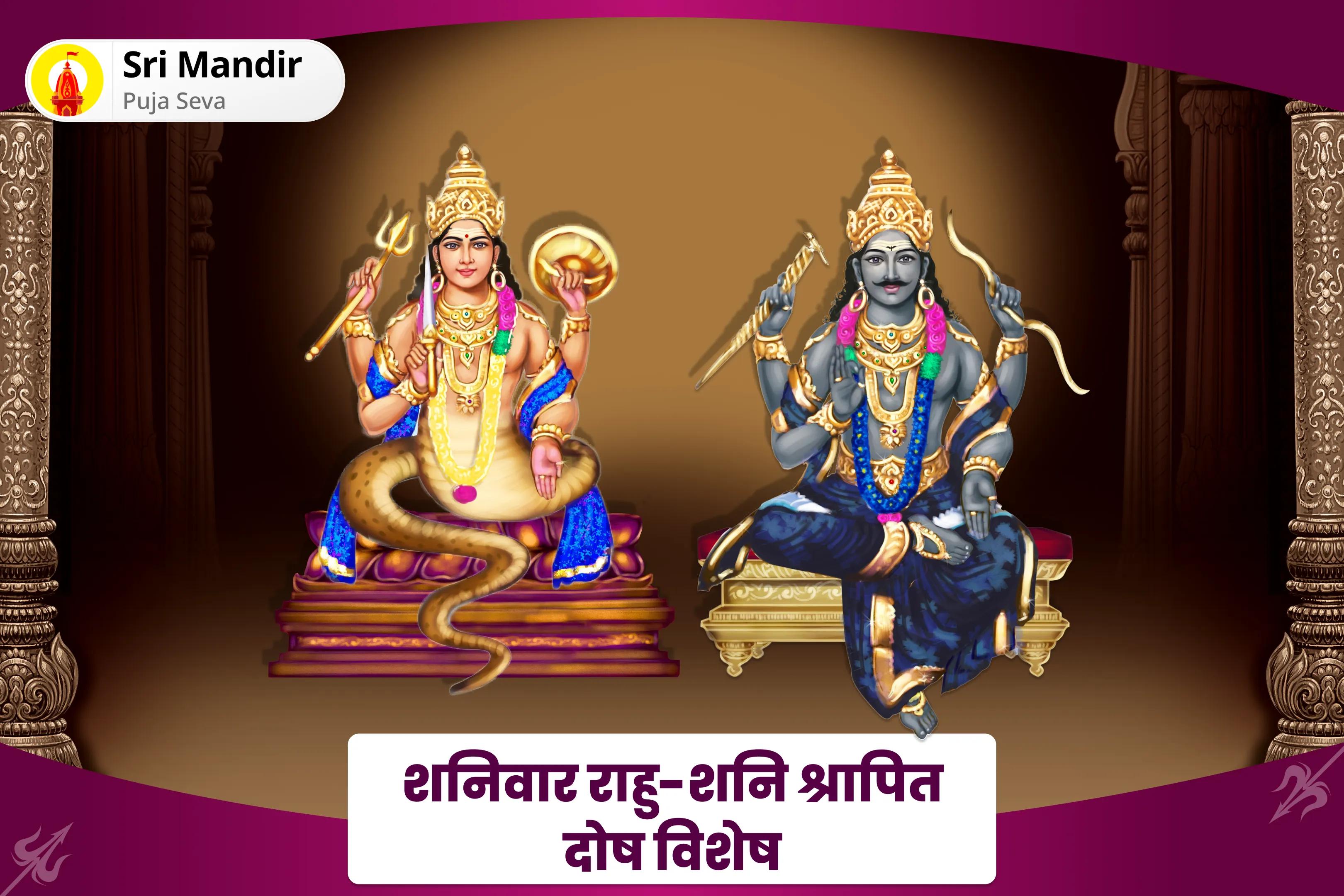 जीवन में विलंब एवं बाधाओं से मुक्ति के लिए शनिवार राहु-शनि श्रापित दोष विशेष राहु-शनि श्रापित दोष शांति हवन एवं तिल तेल अभिषेक
