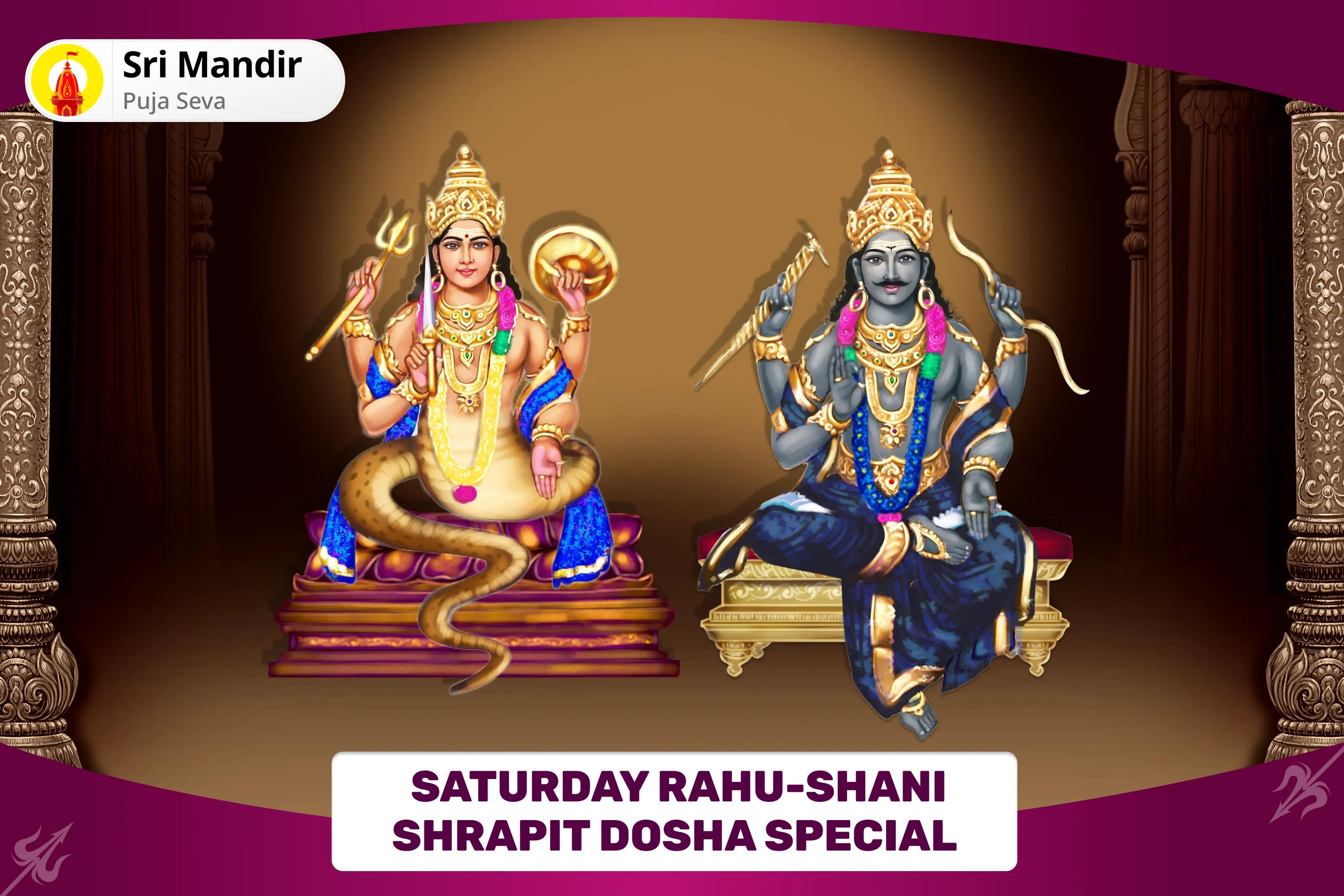Saturday Rahu-Shani Shrapit Dosha Special Rahu-Shani Shrapit Dosh Shanti Havan and Til Tel abhishek for Protection from Obstacles and Delays in life