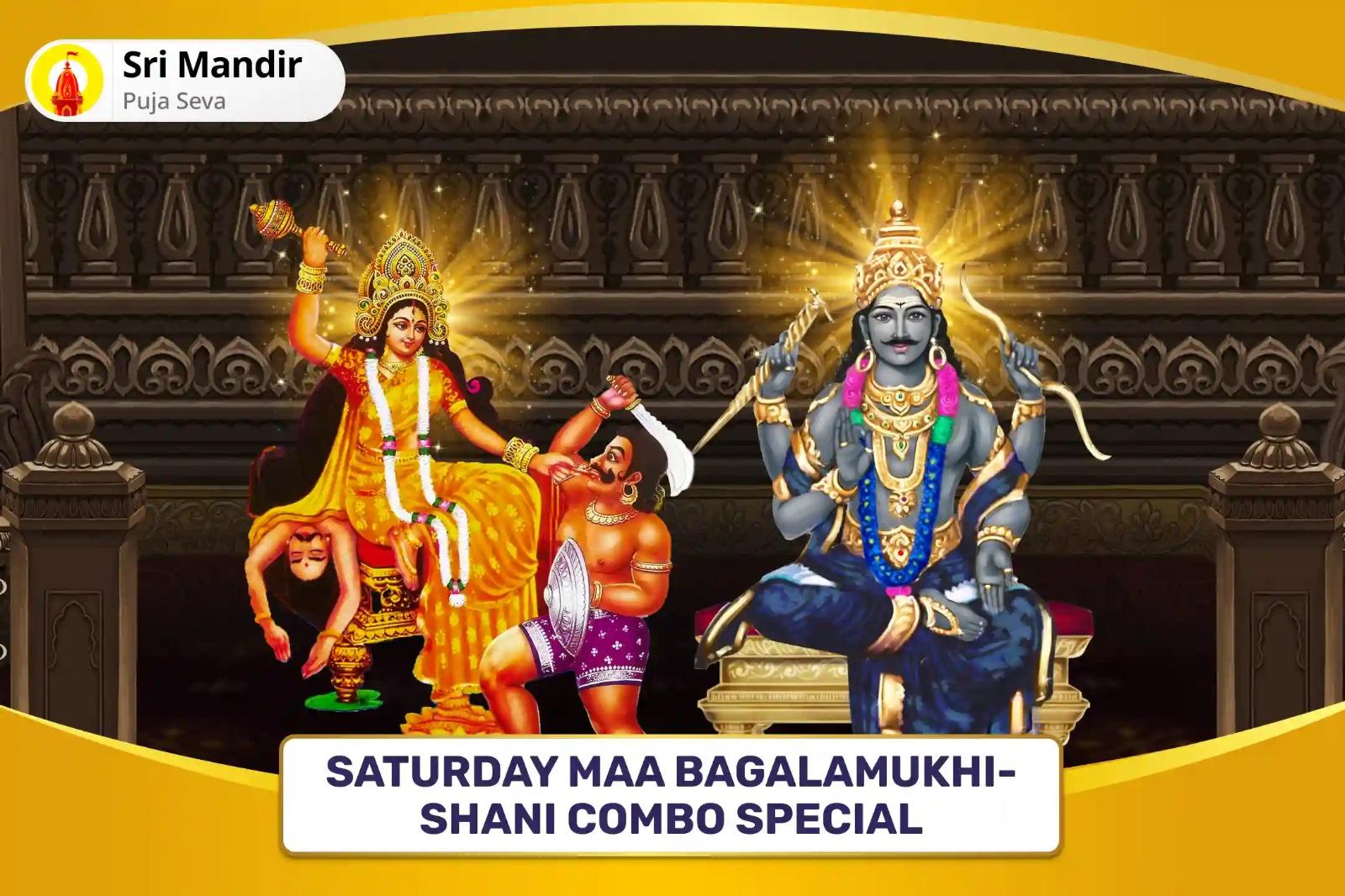 Saturday Maa Bagalamukhi-Shani Combo Special Maa Bagalamukhi Tantra Yukta Havan and Shani Til Tel Abhishek to get Blessing for Victory over Enemies and in Court Cases