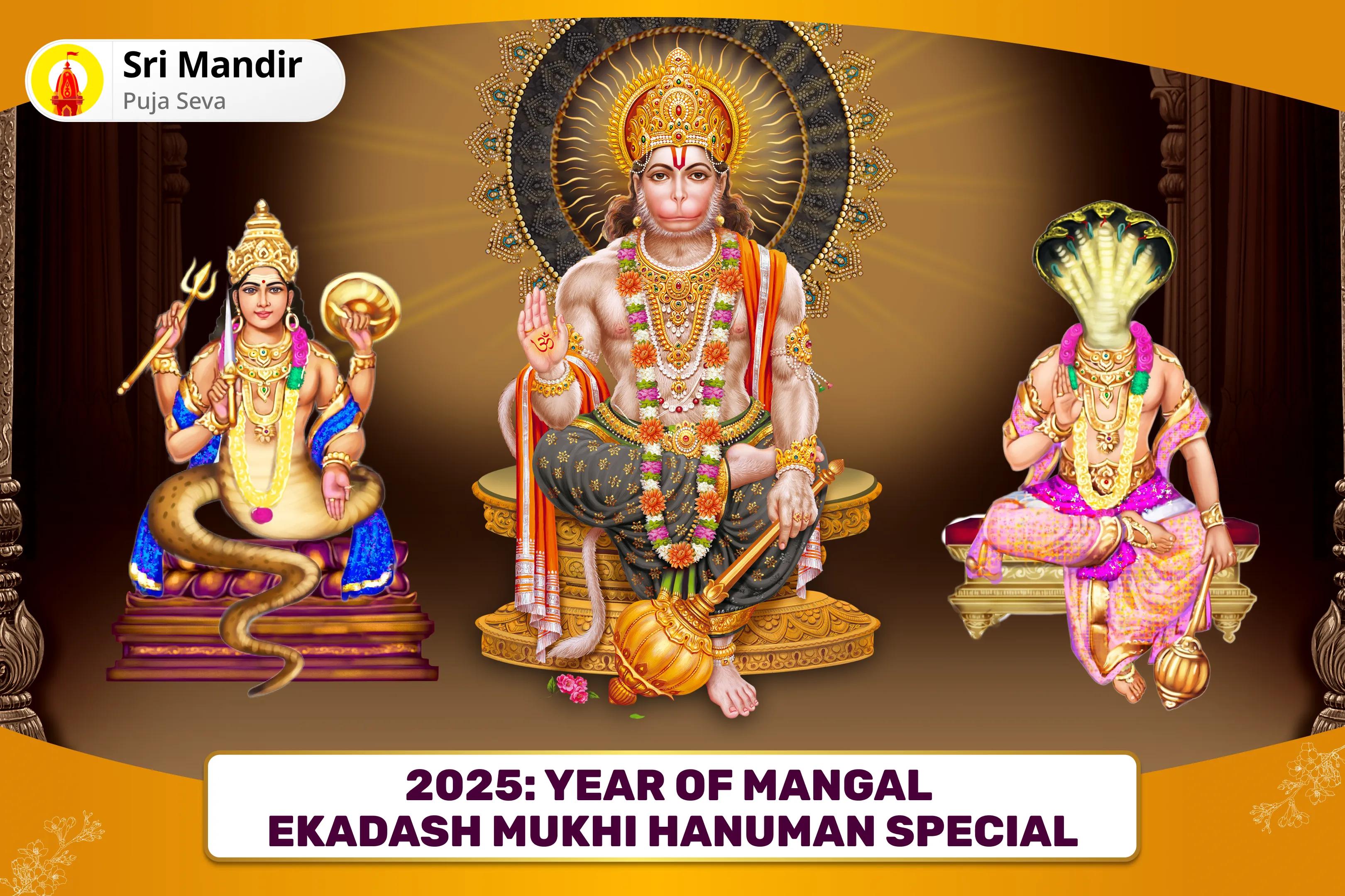 2025: Year of Mangal Ekadash Mukhi Hanuman Special Ekadash Mukhi Hanuman Kavach Puja and Mangal-Rahu Shanti Havan for Protection against Negative Forces, Illusions, and Karmic Burdens