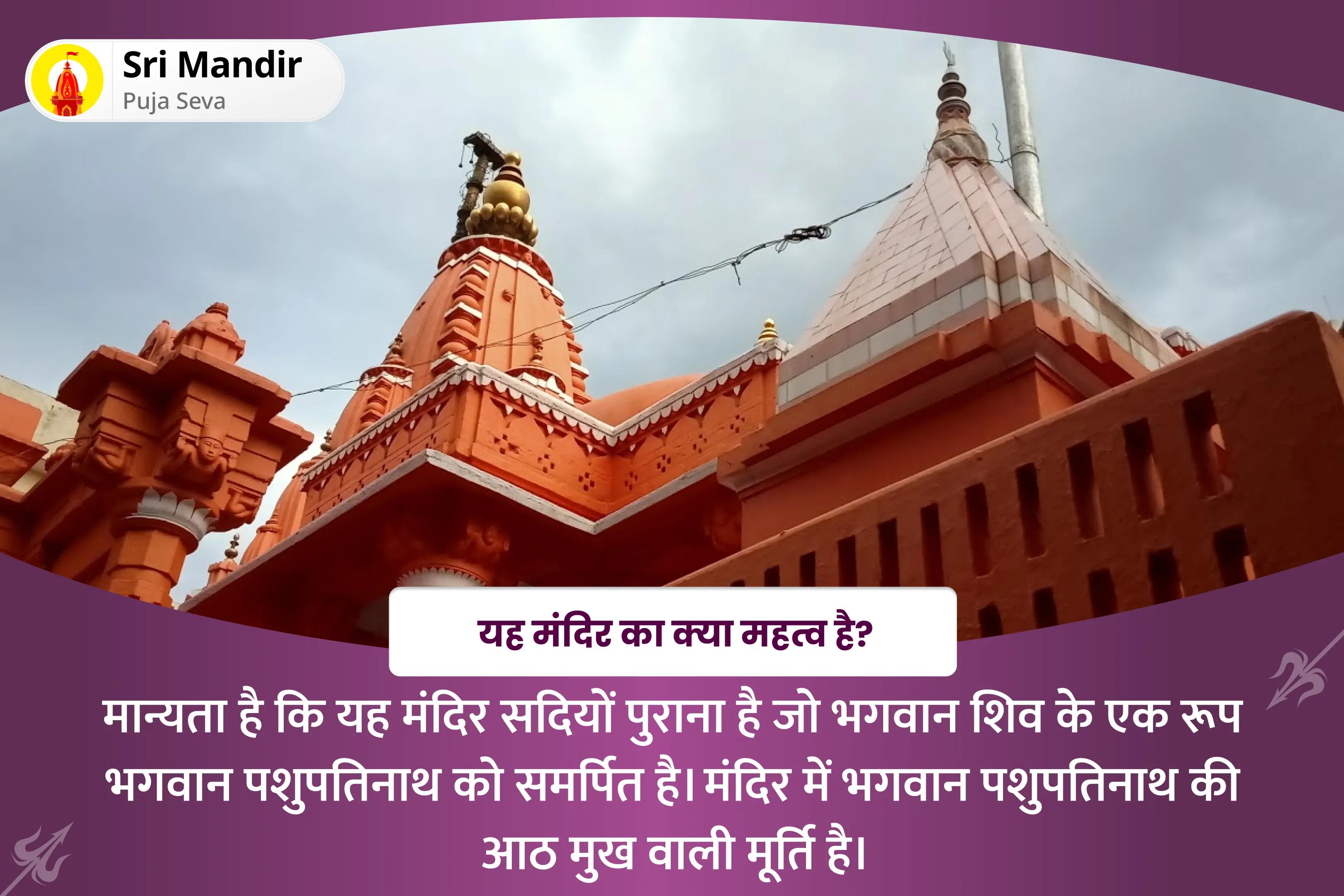 मानसिक स्पष्टता और बेहतर निर्णय लेने के आशीर्वाद के लिए राहु-केतु शांति नक्षत्र विशेष राहु-केतु पीड़ा शांति पूजा एवं शिव रुद्राभिषेक