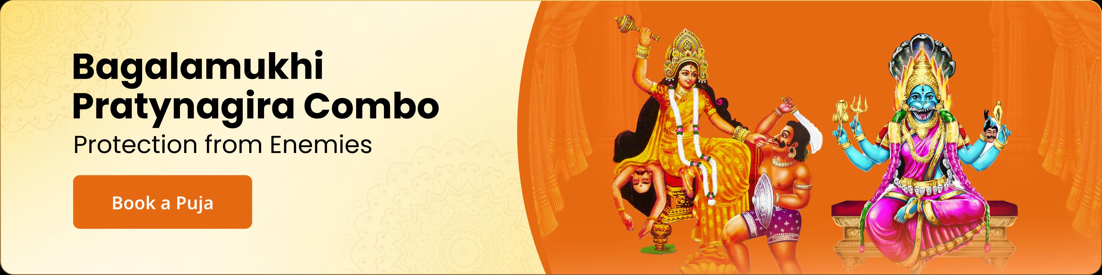 devotee