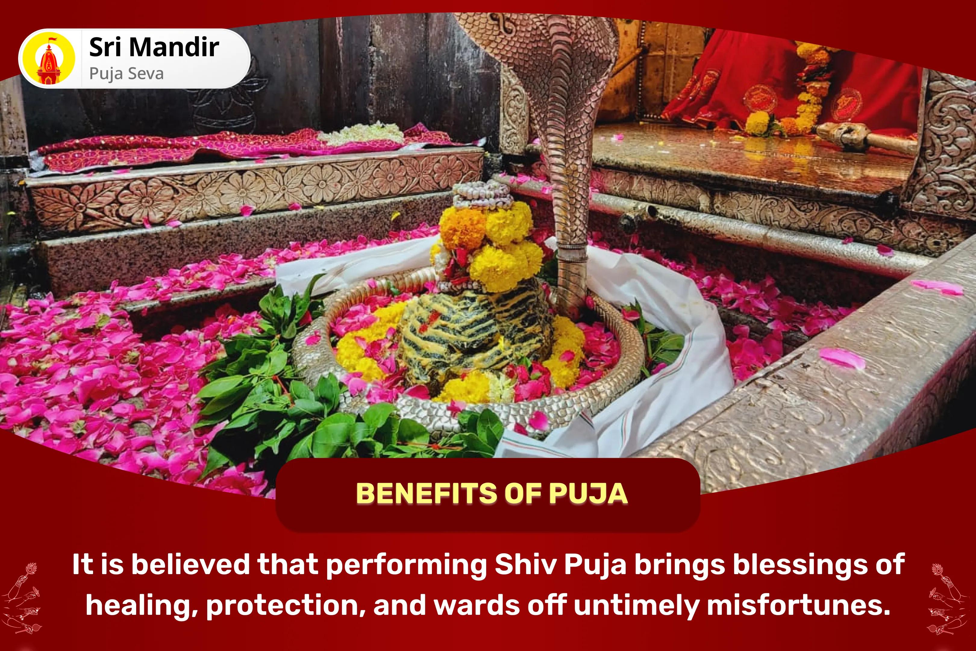 Transform Struggles into Strength with Shiva’s Blessings! Shiv Puja and Rudrabhishek for Healing, Protection, and Warding Off Untimely Misfortunes