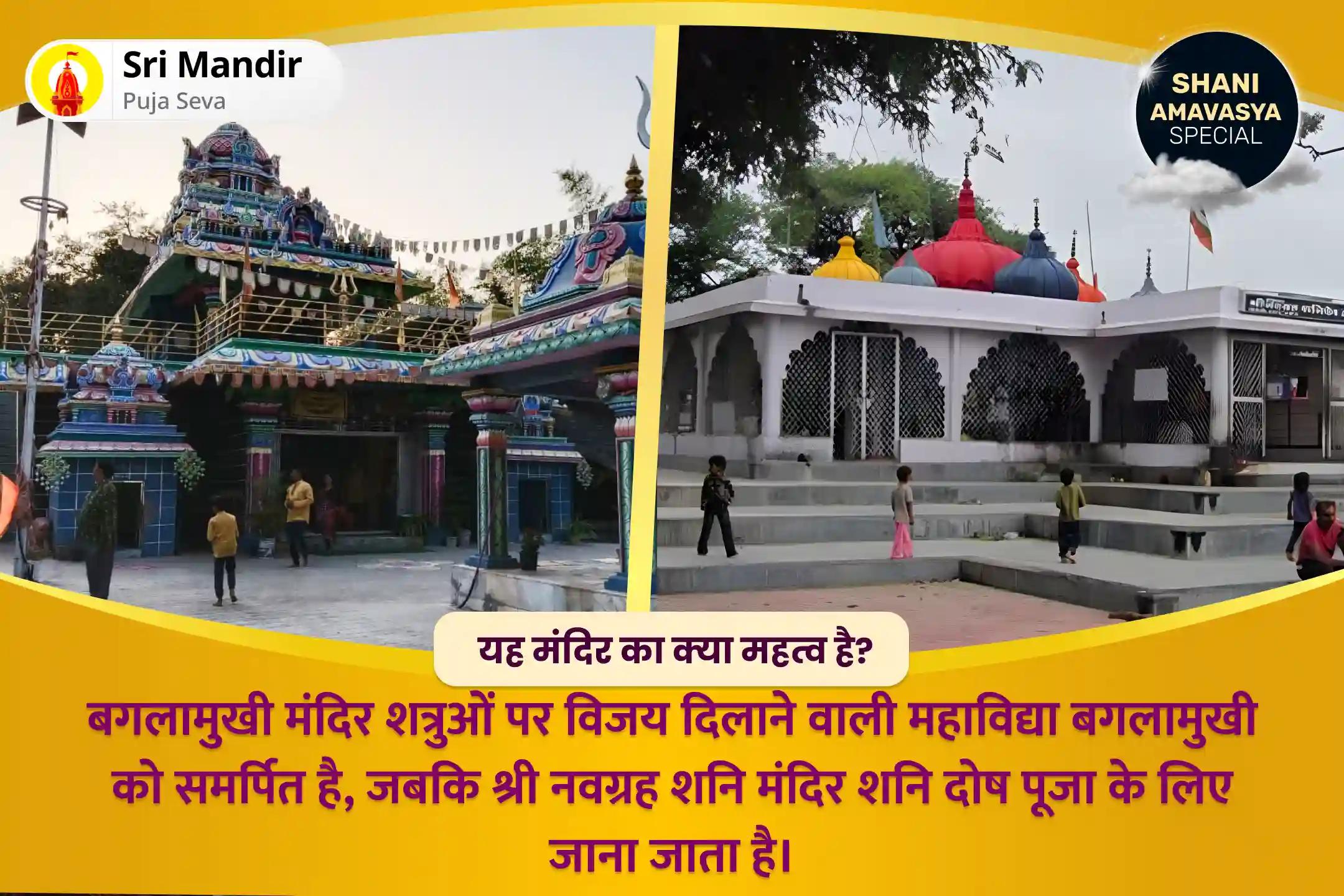 शत्रुओं एवं कोर्ट केस में विजय का आशीष पाने के लिए शनि अमावस्या बगलामुखी-शनि संयुक्त विशेष माँ बगलामुखी तंत्र युक्त हवन एवं शनि तिल तेल अभिषेक