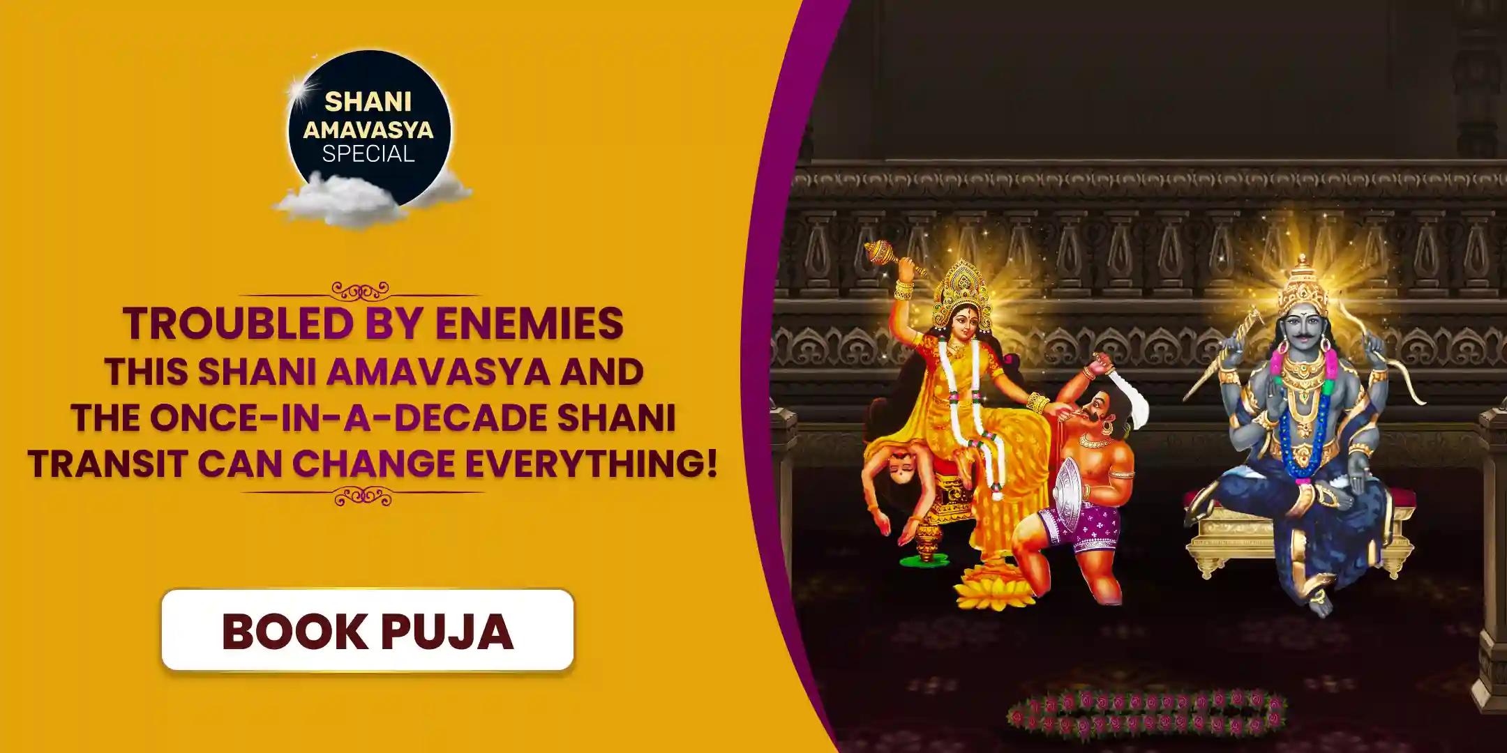 Maa Bagalamukhi Tantra Yukta Havan and Shani Til Tel Abhishek