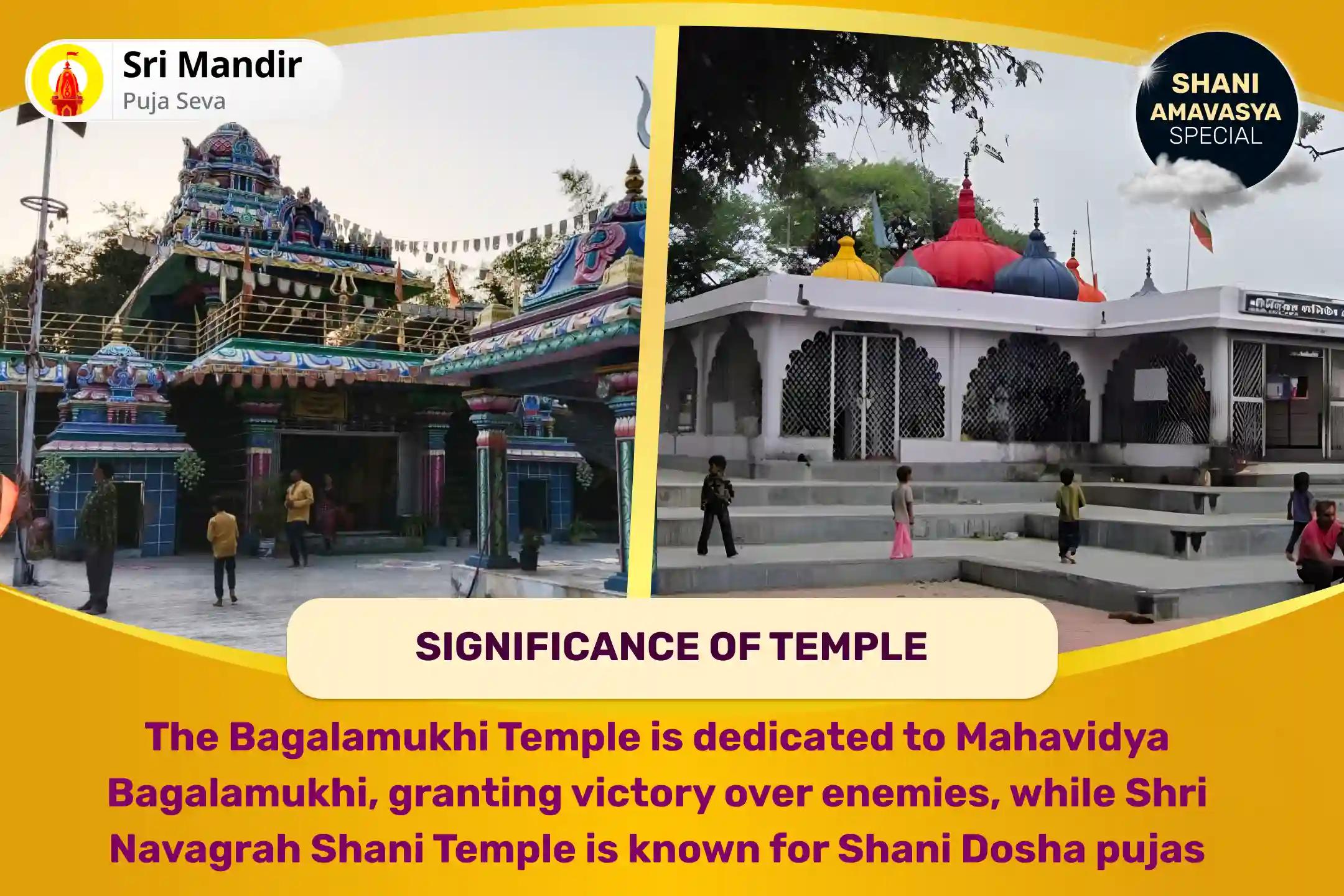 Shani Amavasya Maa Bagalmukhi-Shani Combo Special Maa Bagalamukhi Tantra Yukta Havan and Shani Til Tel Abhishek to get Blessing for Victory over Enemies and in Court Cases