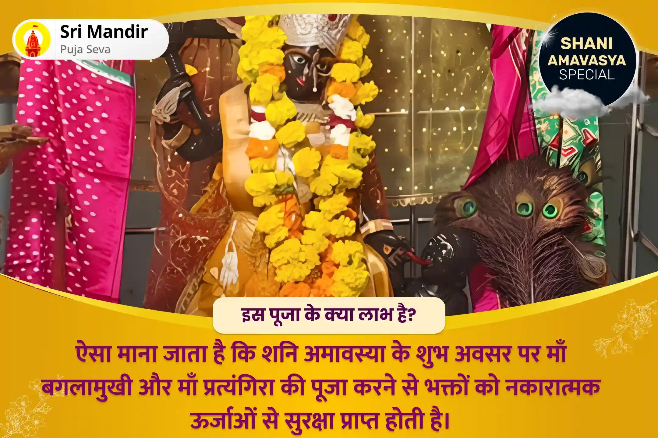 बुरी शक्तियों एवं नकारात्मक प्रभावों से मुक्ति एवं दैवीय सुरक्षा के लिए शनि अमावस्या 21 ब्राह्मण महाविद्या महानुष्ठान बगलामुखी-प्रत्यांगिरा कवच पाठ: 1,25,000 बगलामुखी मूल मंत्र जाप और हवन