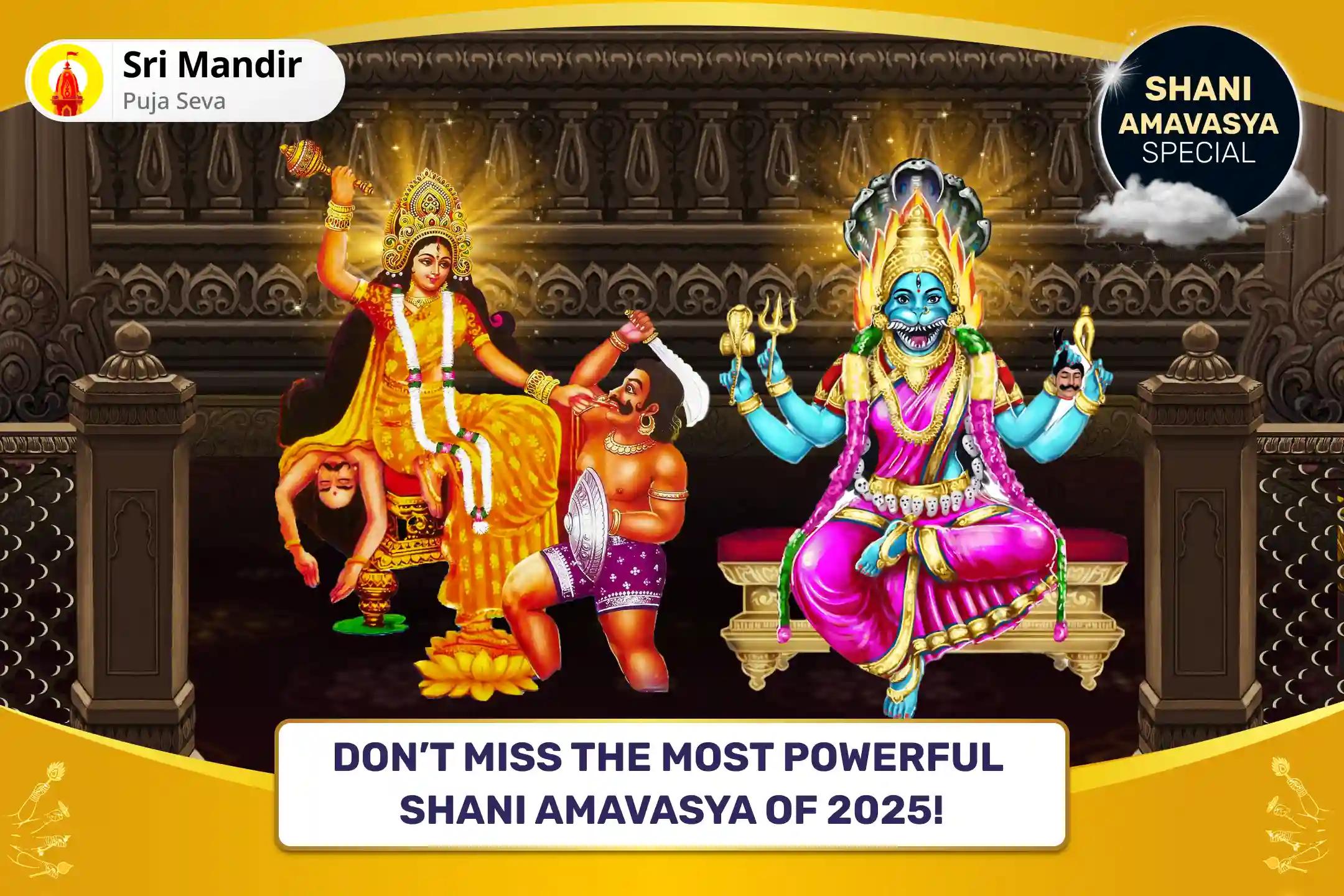 Shani Amavasya 21 Brahman Mahavidya Mahanushthan Bagalamukhi-Pratyangira Kavach Path, 1,25,000 Bagalamukhi Mool Mantra Jaap and Havan for Devi's Protection to Repel Malevolent Energies and Negative Influences