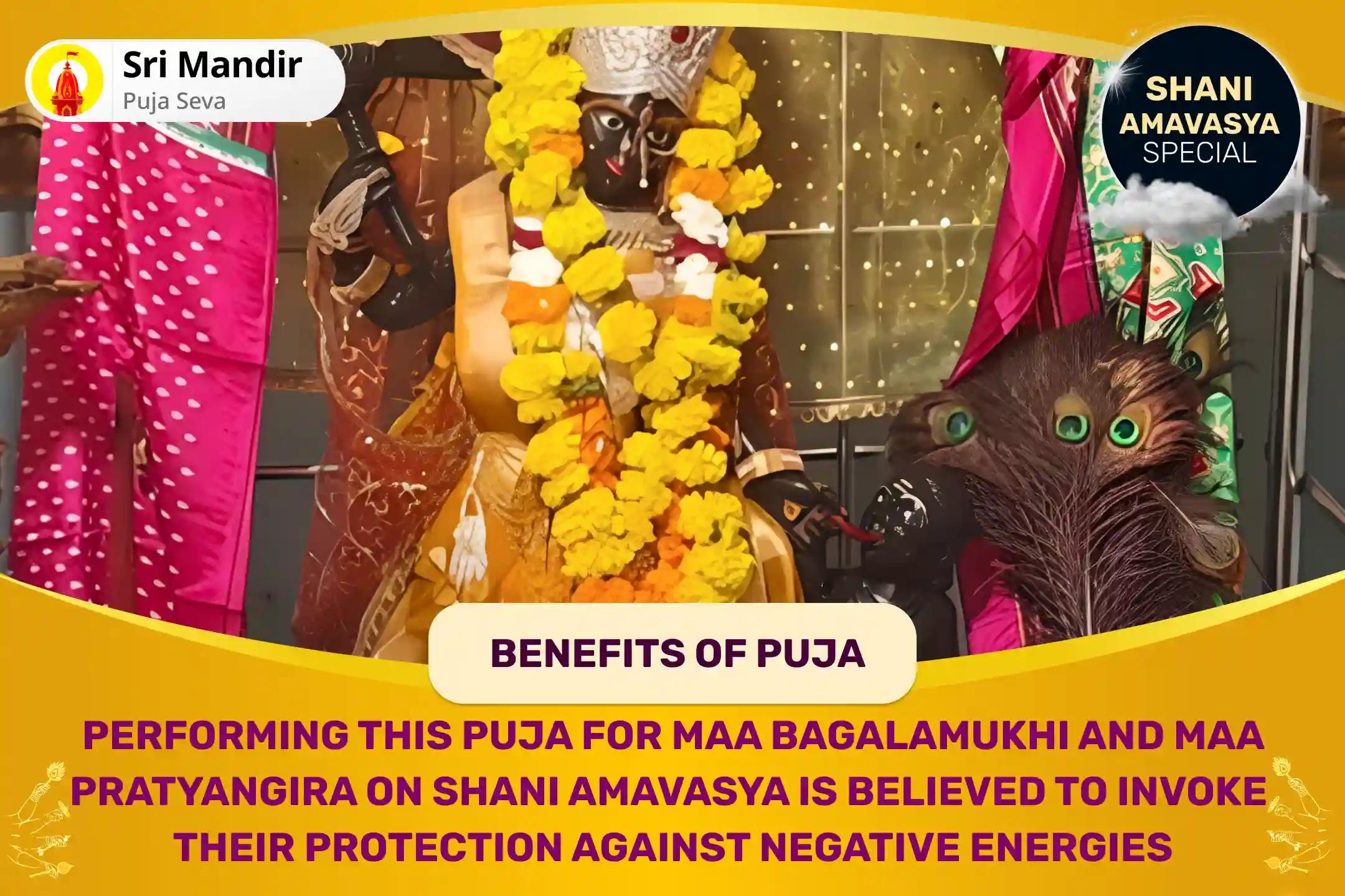 Shani Amavasya 21 Brahman Mahavidya Mahanushthan Bagalamukhi-Pratyangira Kavach Path, 1,25,000 Bagalamukhi Mool Mantra Jaap and Havan for Devi's Protection to Repel Malevolent Energies and Negative Influences