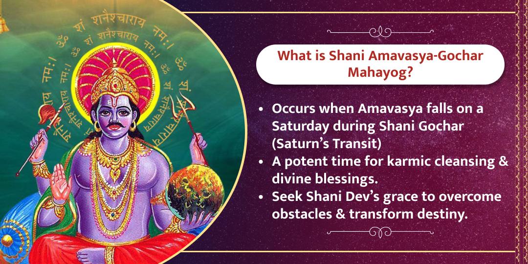 Shani Gochar Amavasya Tithi Navgrah Dosh Mukti Shani Dev Mantra Aaradhana Chadhava