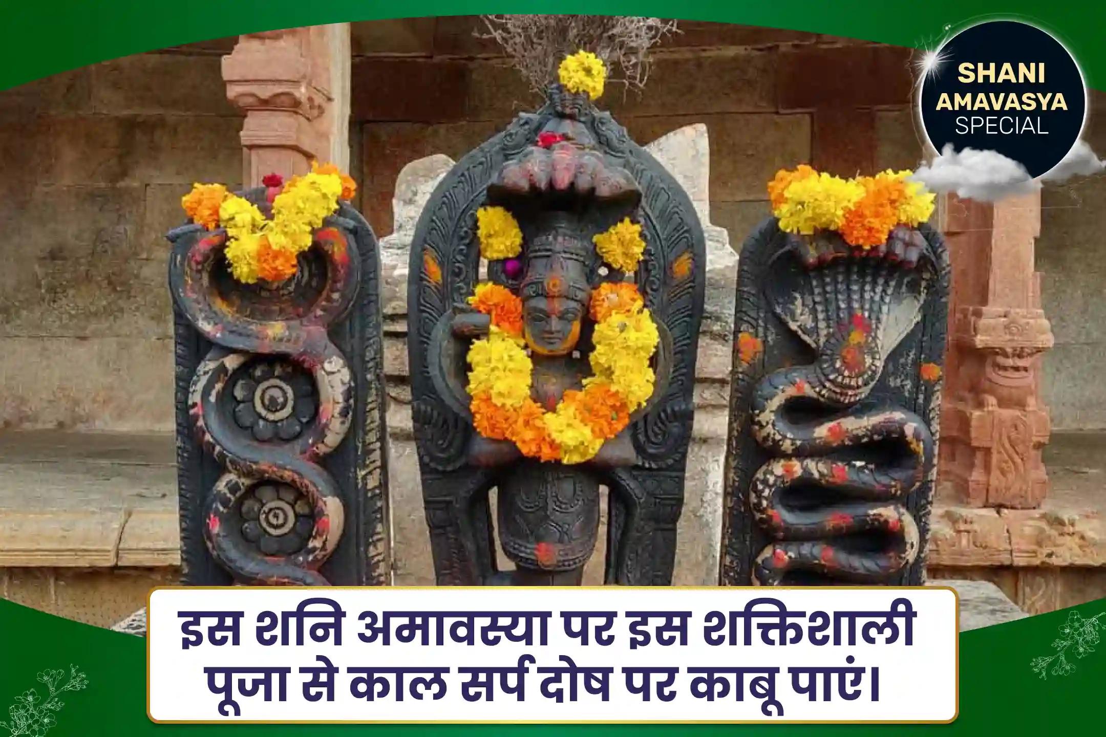 शनि अमावस्या राहु-केतु शांति राहु पैठाणी विशेष शनि अमावस्या राहु-केतु शांति राहु पैठाणी विशेष काल सर्प दोष शांति पूजा एवं शिव रुद्राभिषेक