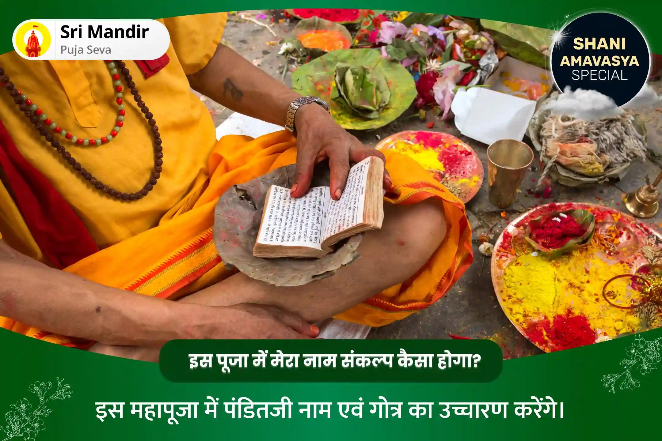 शनि अमावस्या राहु-केतु शांति राहु पैठाणी विशेष शनि अमावस्या राहु-केतु शांति राहु पैठाणी विशेष काल सर्प दोष शांति पूजा एवं शिव रुद्राभिषेक