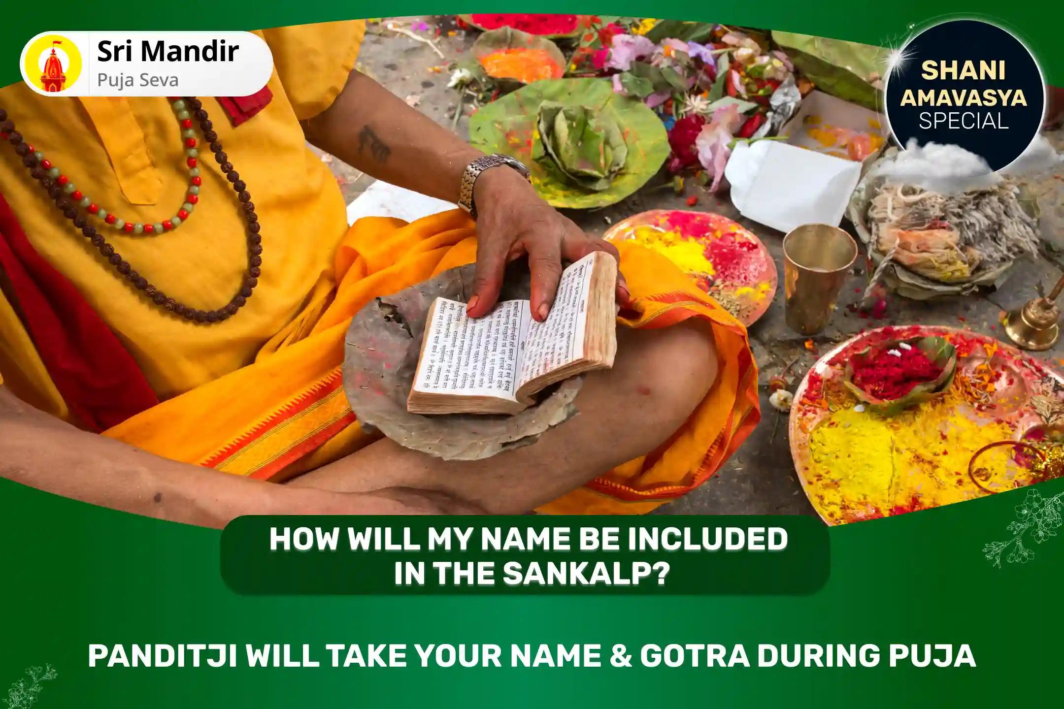 Shani Amavasya Rahu-Ketu Shanti Rahu Paithani Special Kaal Sarp Dosh Shanti Puja and Shiv Rudrabhishek for Fearlessness and Achieving Mental Stability