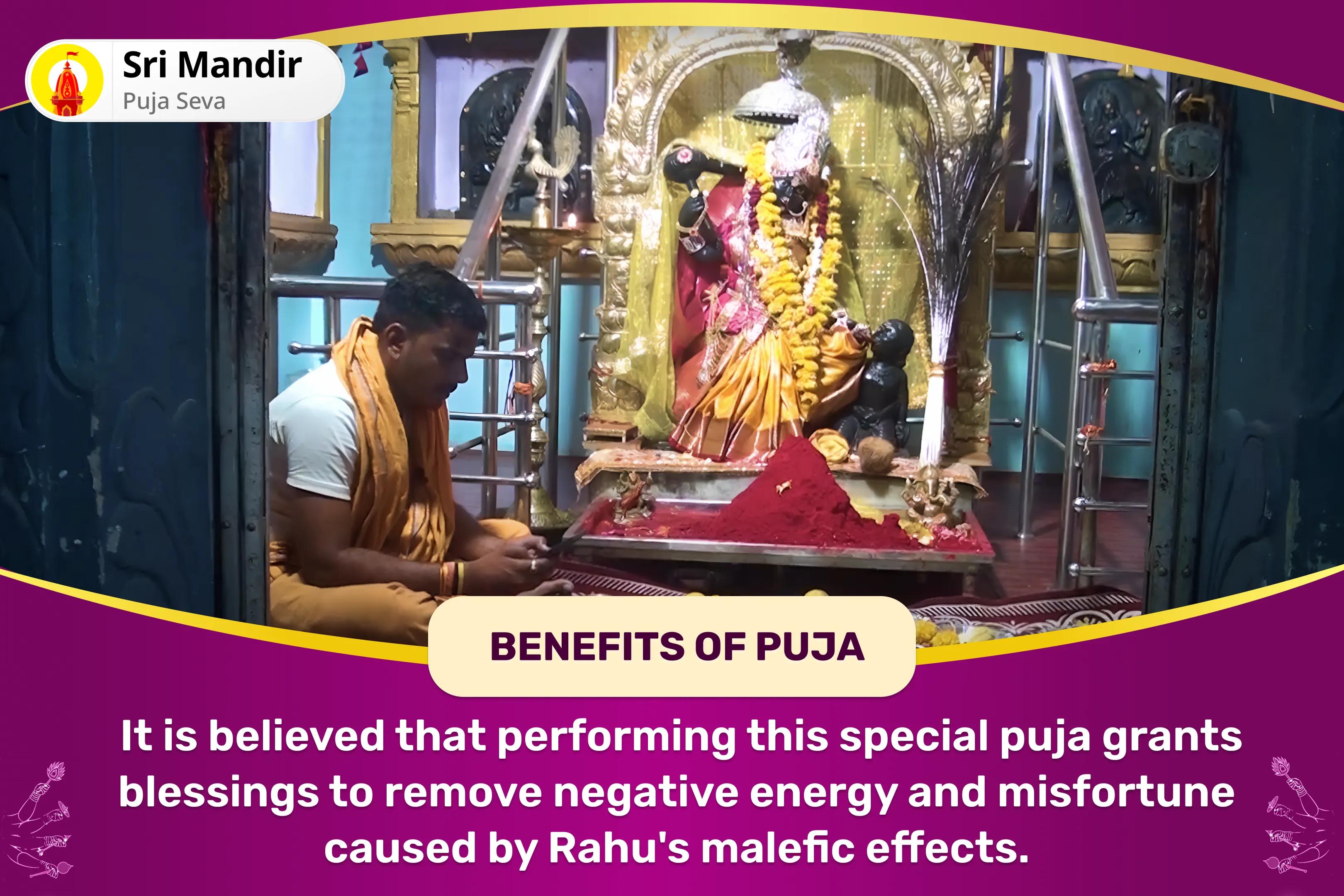 God of Kalyug Rahu Shanti Combo Maa Bagalamukhi Tantra Yukta Yagya, Batuk Bhairav Aapda Haran Pujan and Rahu Graha Shanti Havan to Paralyse Negative Energies and Sudden Misfortunes in Life