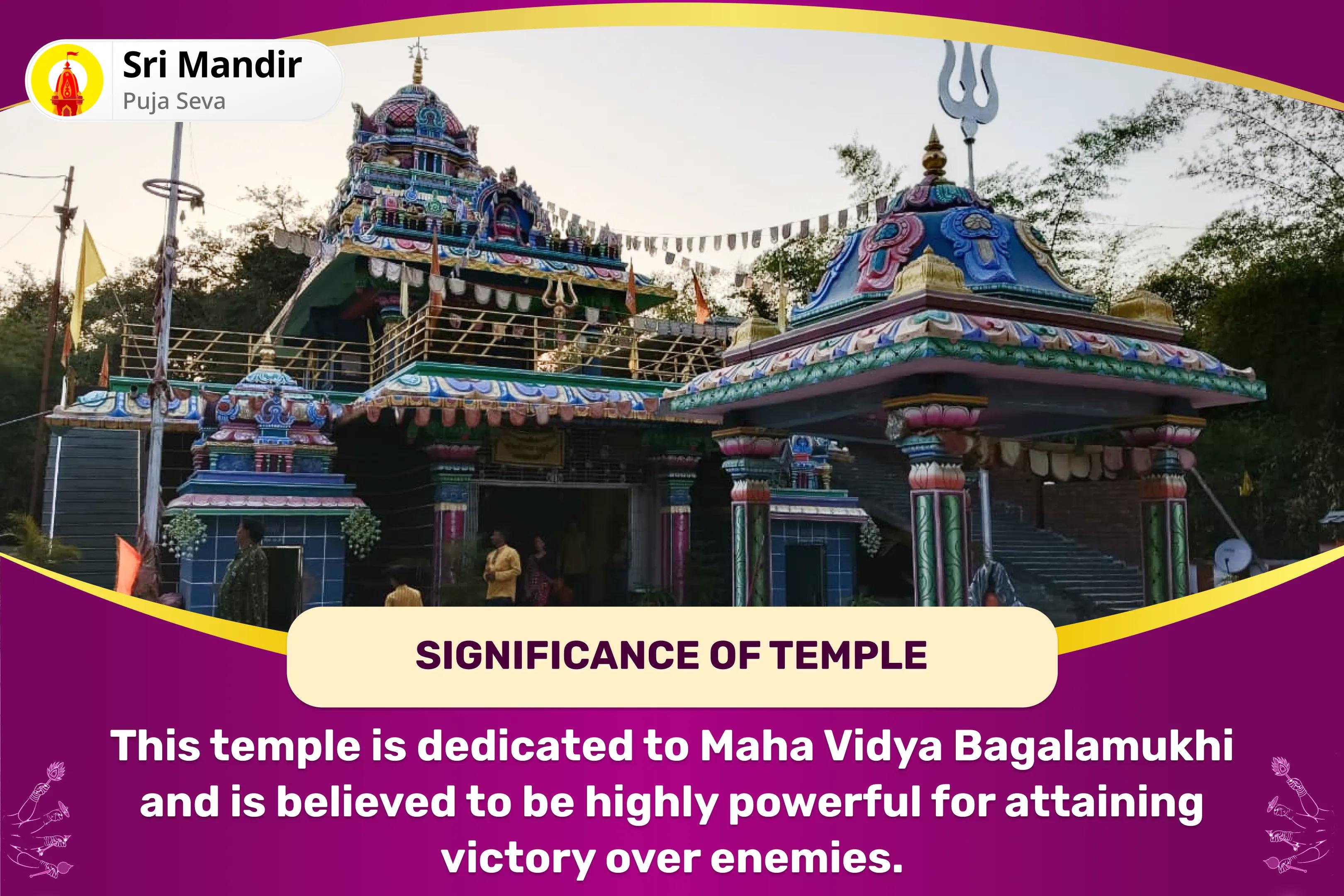 God of Kalyug Rahu Shanti Combo Maa Bagalamukhi Tantra Yukta Yagya, Batuk Bhairav Aapda Haran Pujan and Rahu Graha Shanti Havan to Paralyse Negative Energies and Sudden Misfortunes in Life