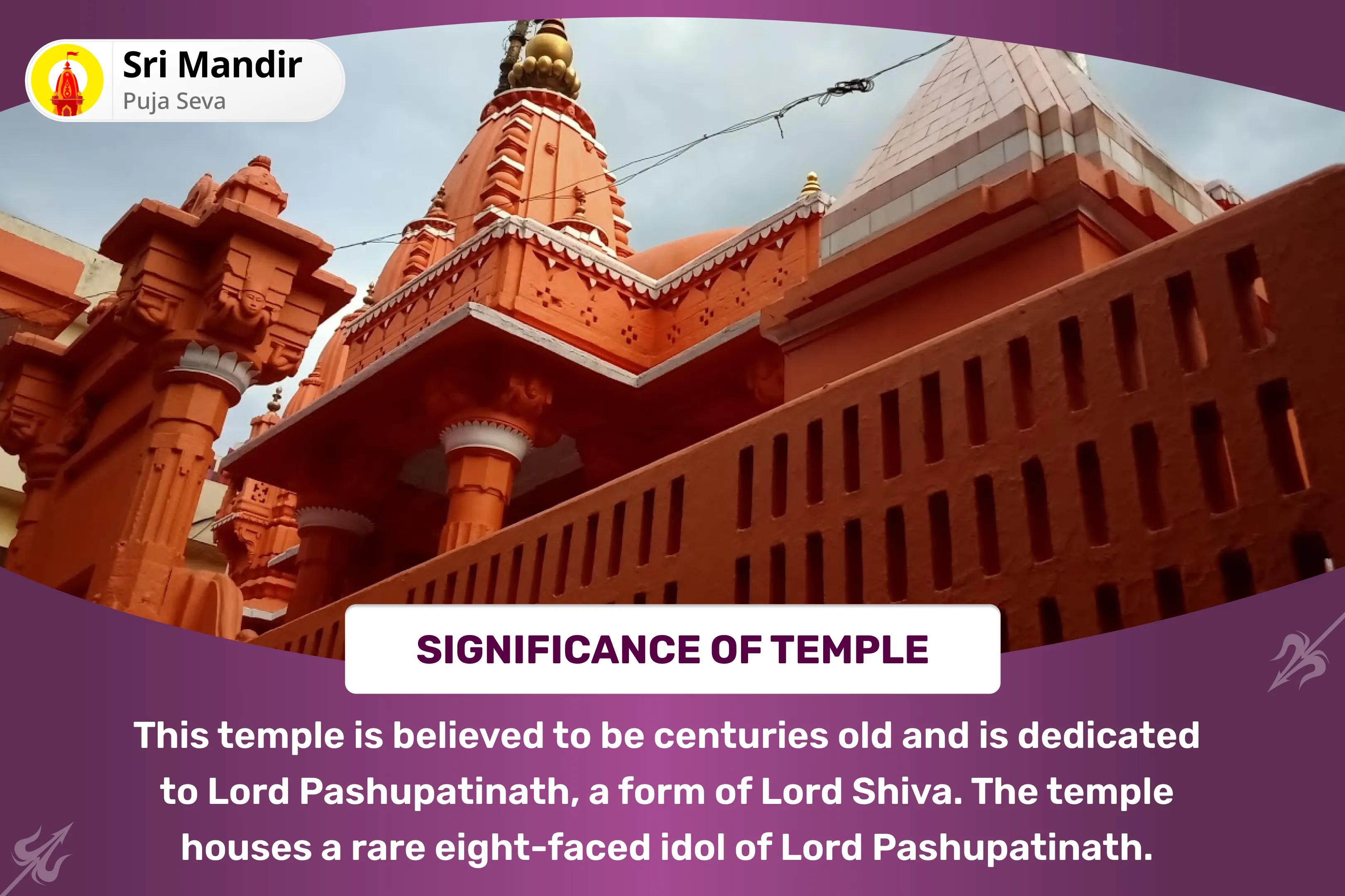 Rahu-Ketu Shanti Nakshatra Special Rahu-Ketu Peeda Shanti Puja and Shiv Rudrabishek for Blessing of Mental Clarity and Improved Decision-Making