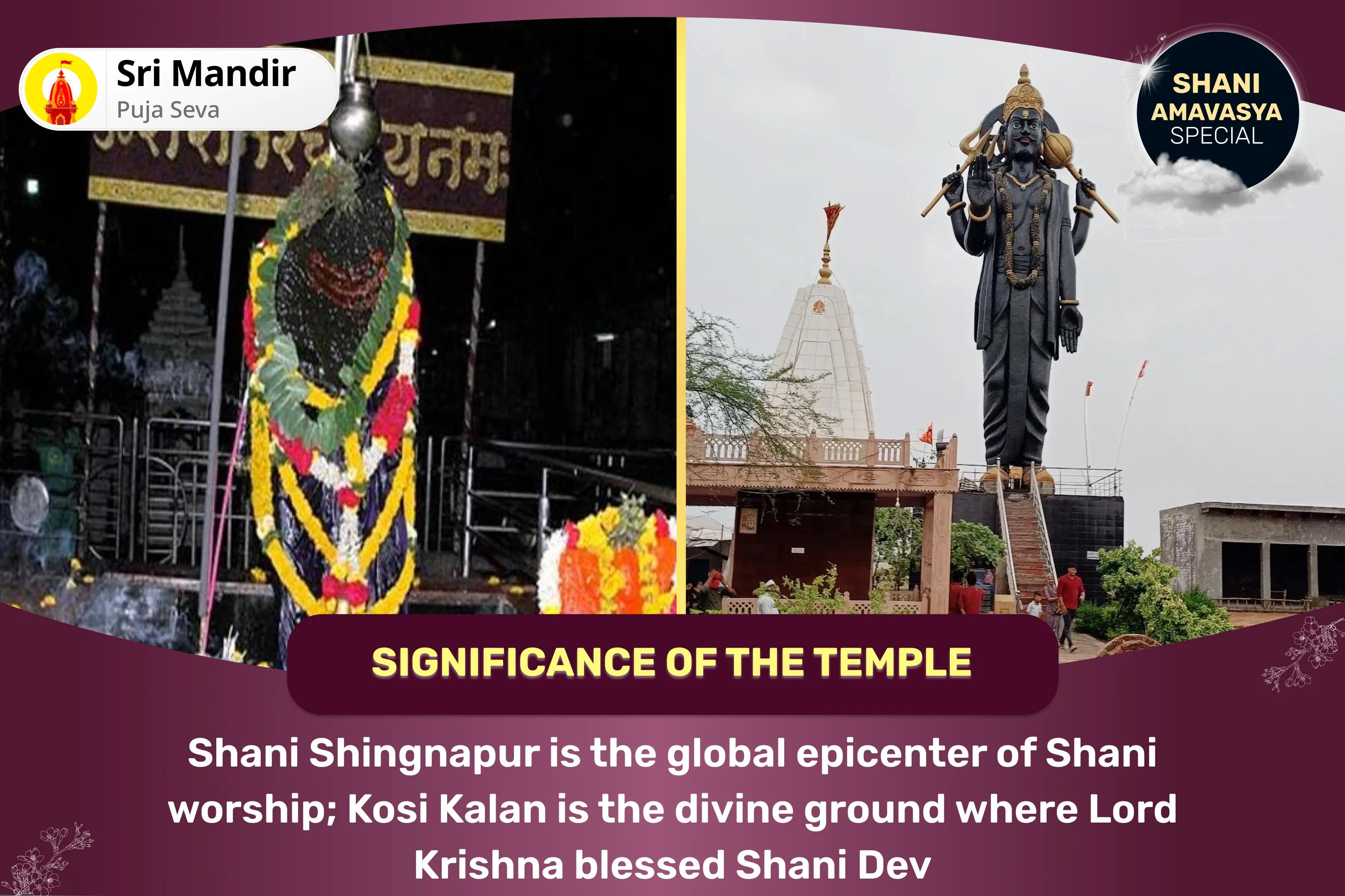 Shani Amavasya 'Transit of Shani' Special Shani Shingnapur Til Tel Abhishek and Kosi Kalan Saade Saati Peeda Shanti Puja & Yagya for Overcoming Challenges and Adversities in Life