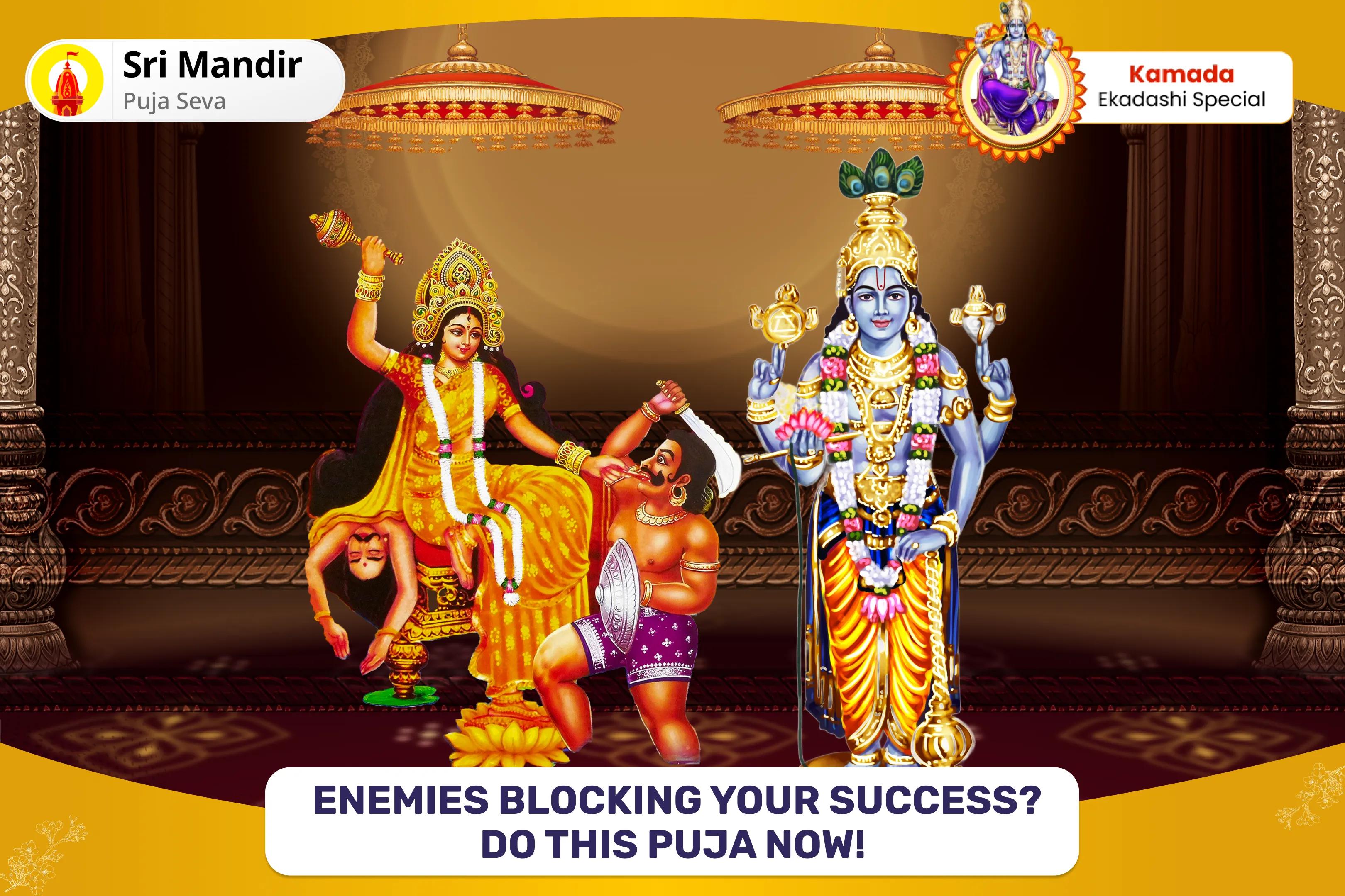 Kamada Ekadashi Narayan-Bagalamukhi Mahapath Combo Yagya 36,000 Maa Bagalamukhi Mantra Jaap and Narayan Sudarshan Kavacham Yagya for Resolving Legal Battles, Ensuring Victory, and Removing Enmity
