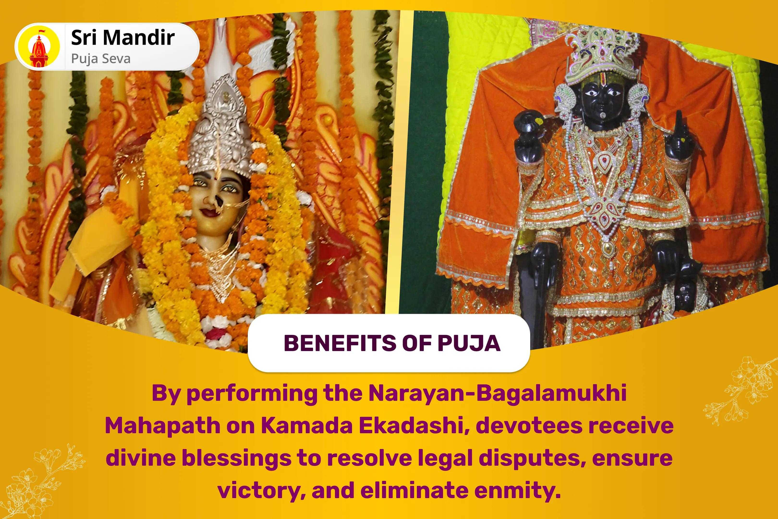 Kamada Ekadashi Narayan-Bagalamukhi Mahapath Combo Yagya 36,000 Maa Bagalamukhi Mantra Jaap and Narayan Sudarshan Kavacham Yagya for Resolving Legal Battles, Ensuring Victory, and Removing Enmity