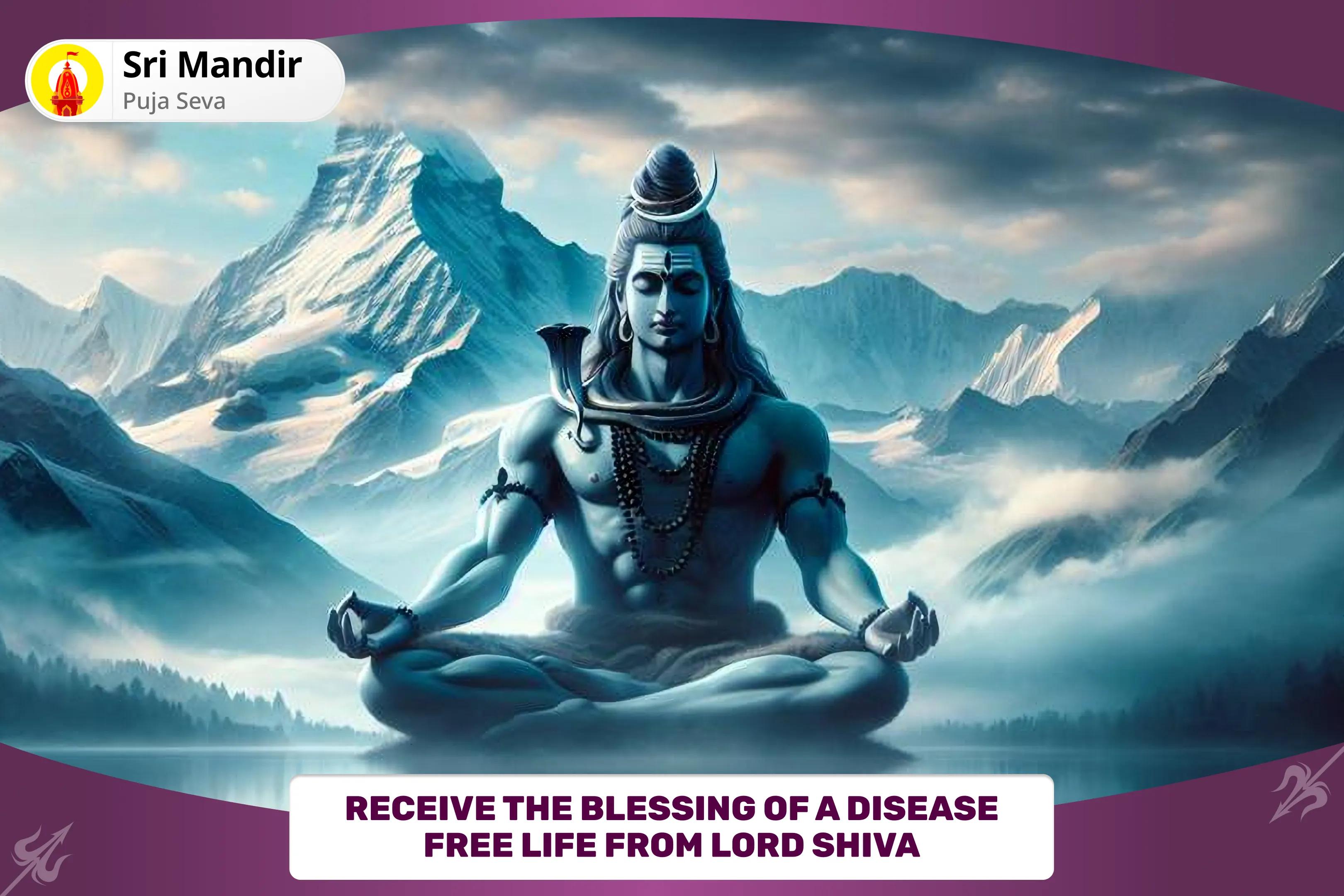 Physical and Mental Well-Being Special Health and Wellness Special Puja and Yagya Invite Shiva's Divine Healing for Health and Longevity