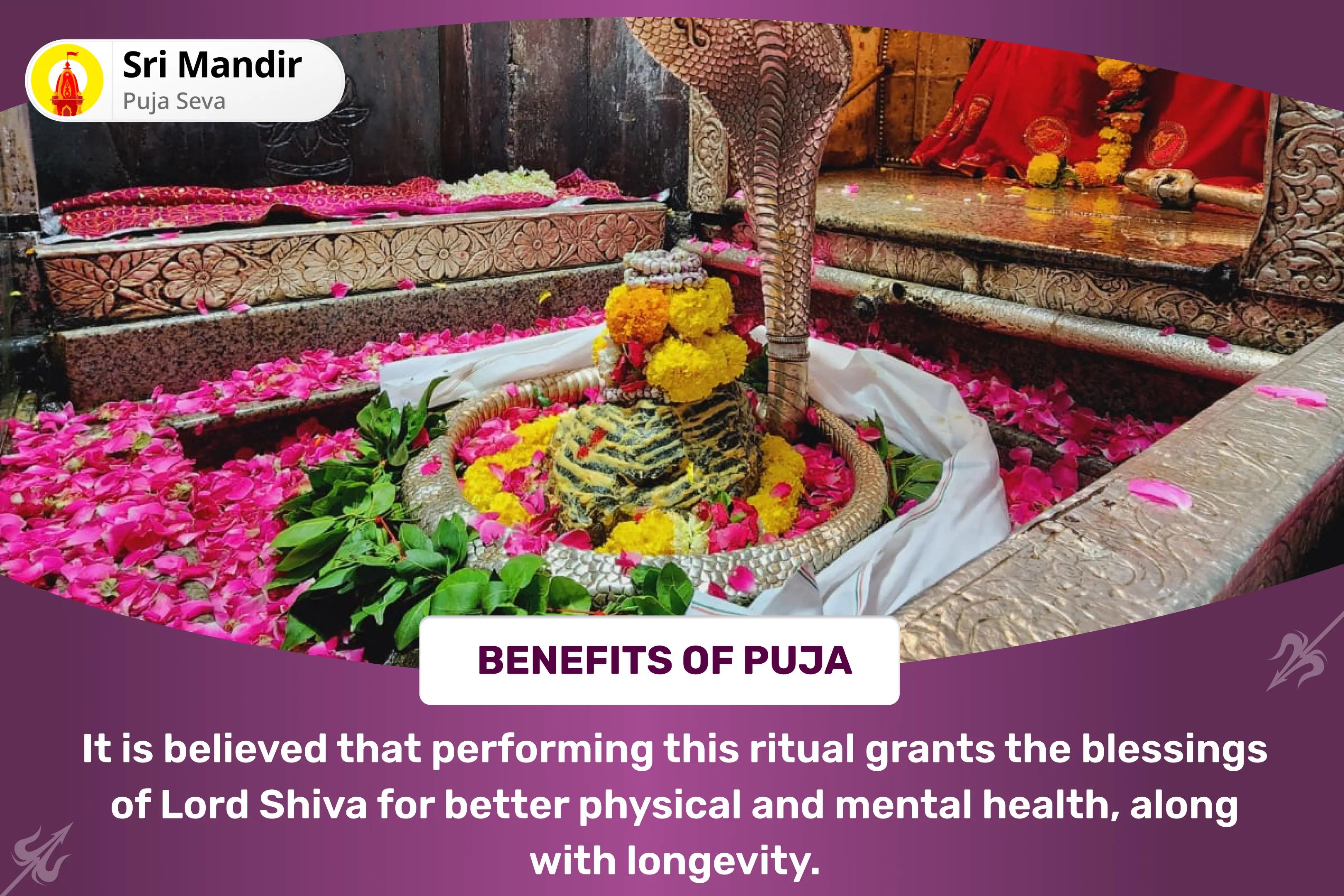 Physical and Mental Well-Being Special Health and Wellness Special Puja and Yagya Invite Shiva's Divine Healing for Health and Longevity