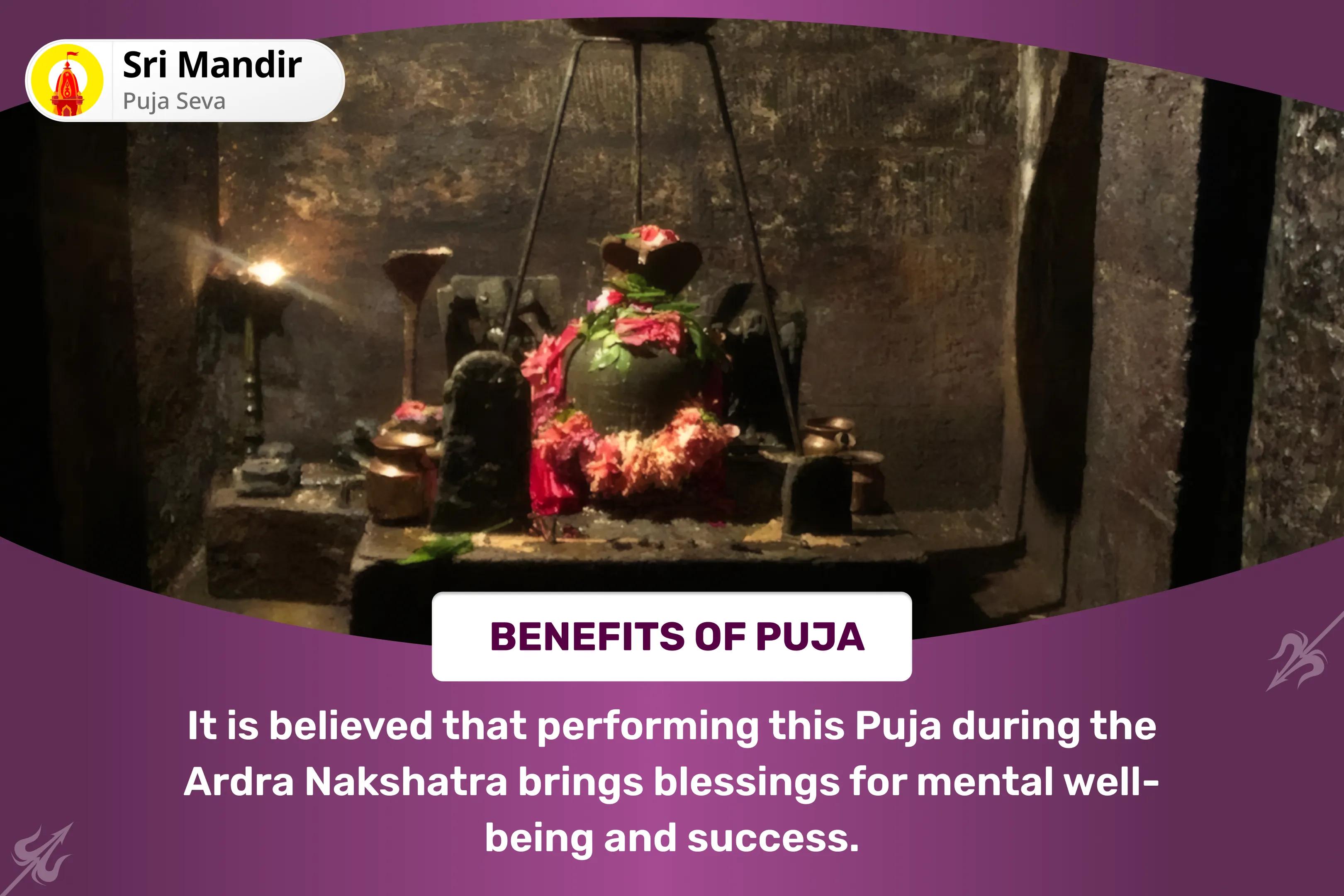 Nakshatra of Rahu Special Rahu Shanti Jaap and Havan for Blessings of Mental Stability and Success