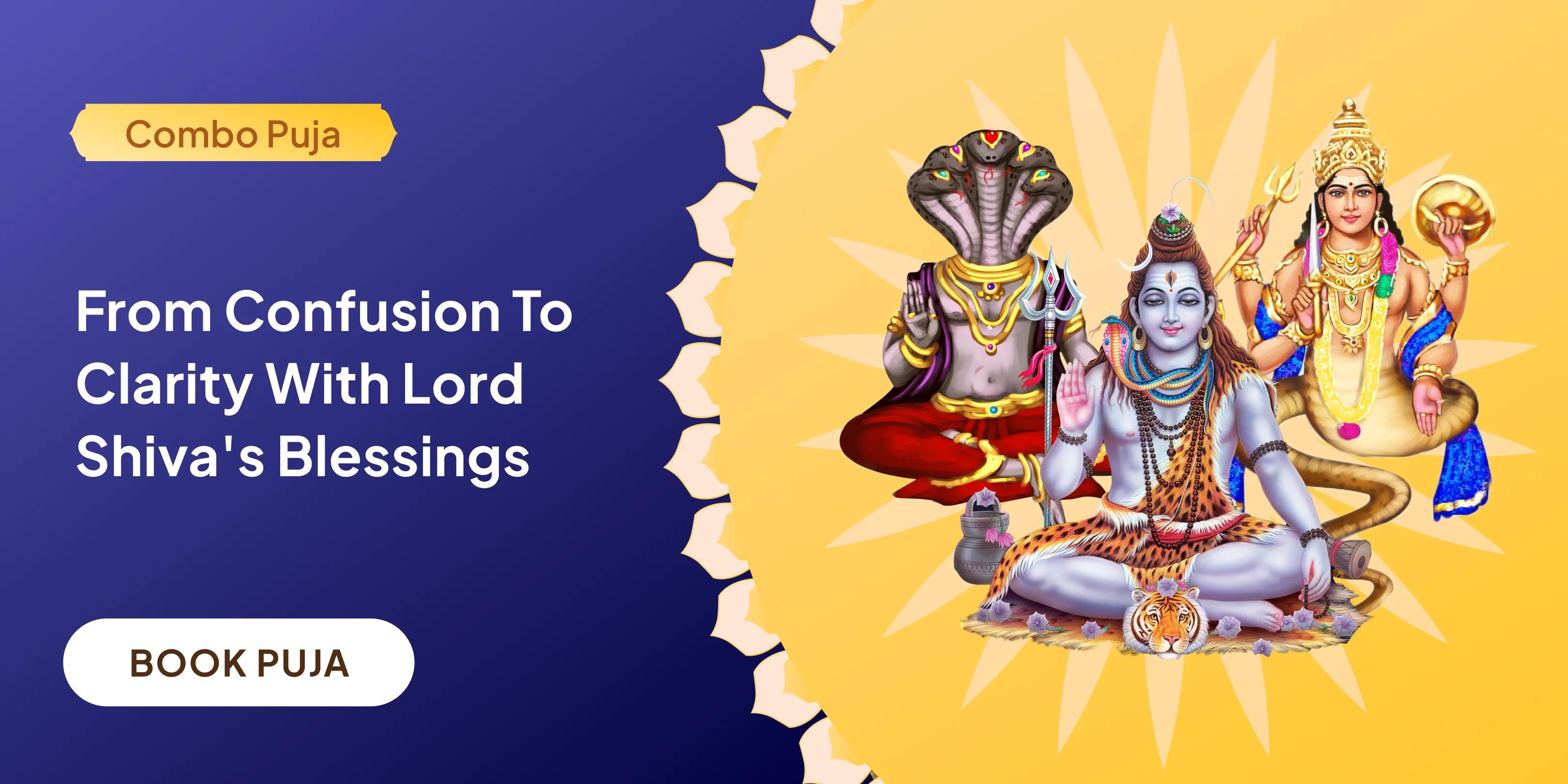 Rahu-Ketu Peeda Shanti Puja and Shiv Rudrabishek