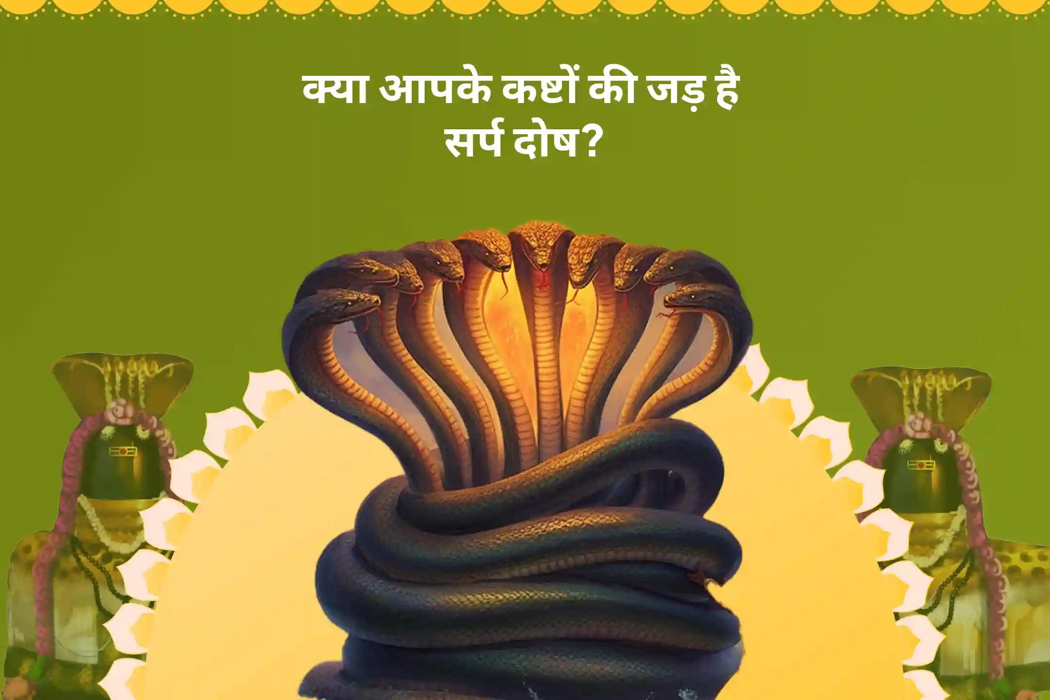 निडरता और मानसिक स्थिरता प्राप्त करने के लिए केतु का दिन बुधवार विशेष  काल सर्प दोष शांति पूजा एवं शिव रुद्राभिषेक