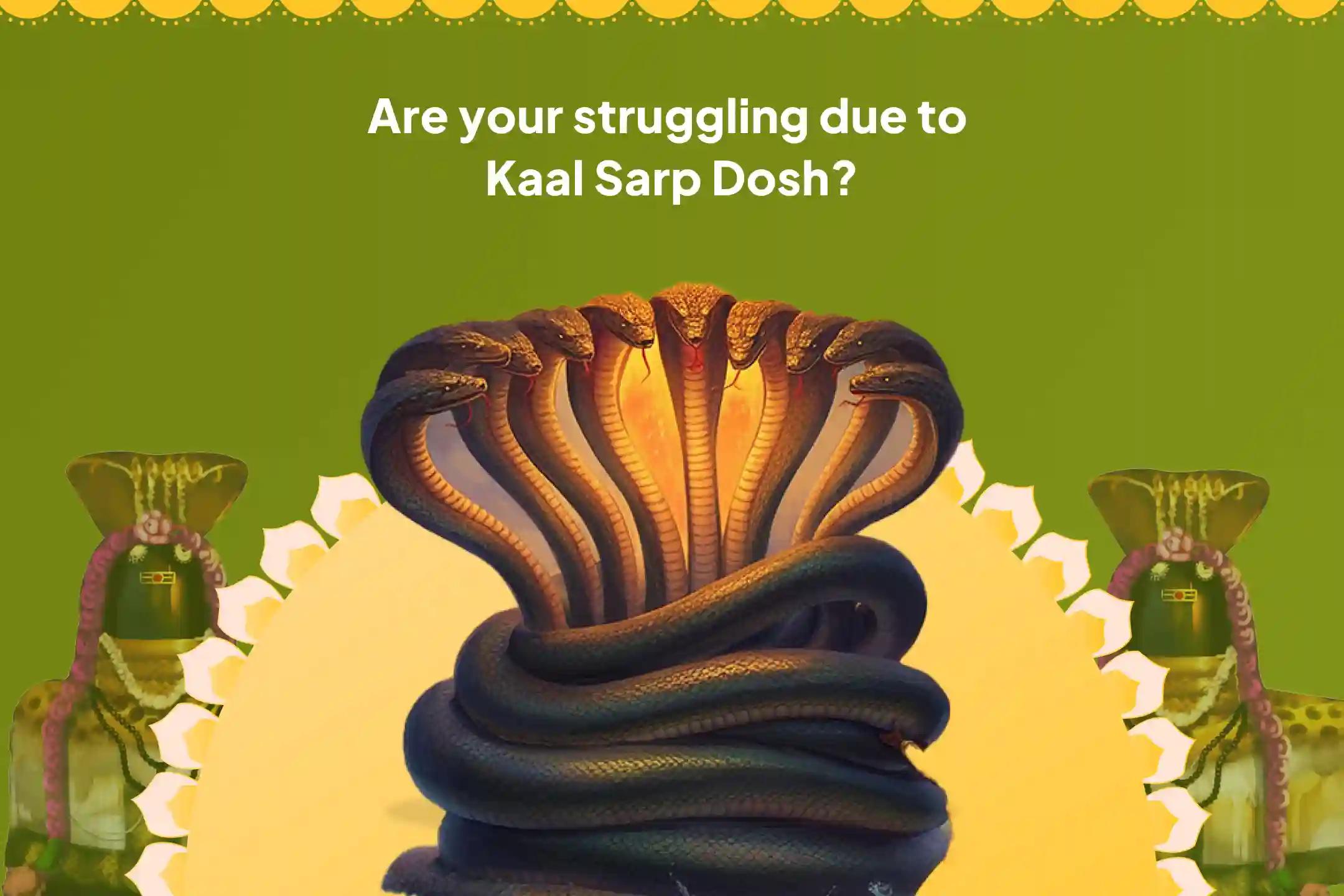 Wednesday Day of Ketu Special Kaal Sarp Dosh Shanti Puja and Shiv Rudrabhishek for Fearlessness and Achieving Mental Stability