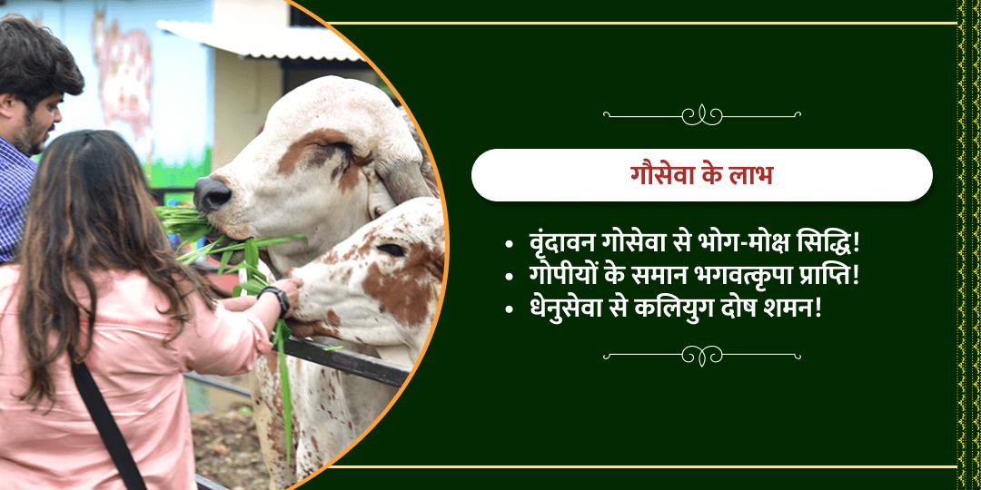 मासिक कृष्ण जन्माष्टमी श्री धाम गौशाला गौसेवा 