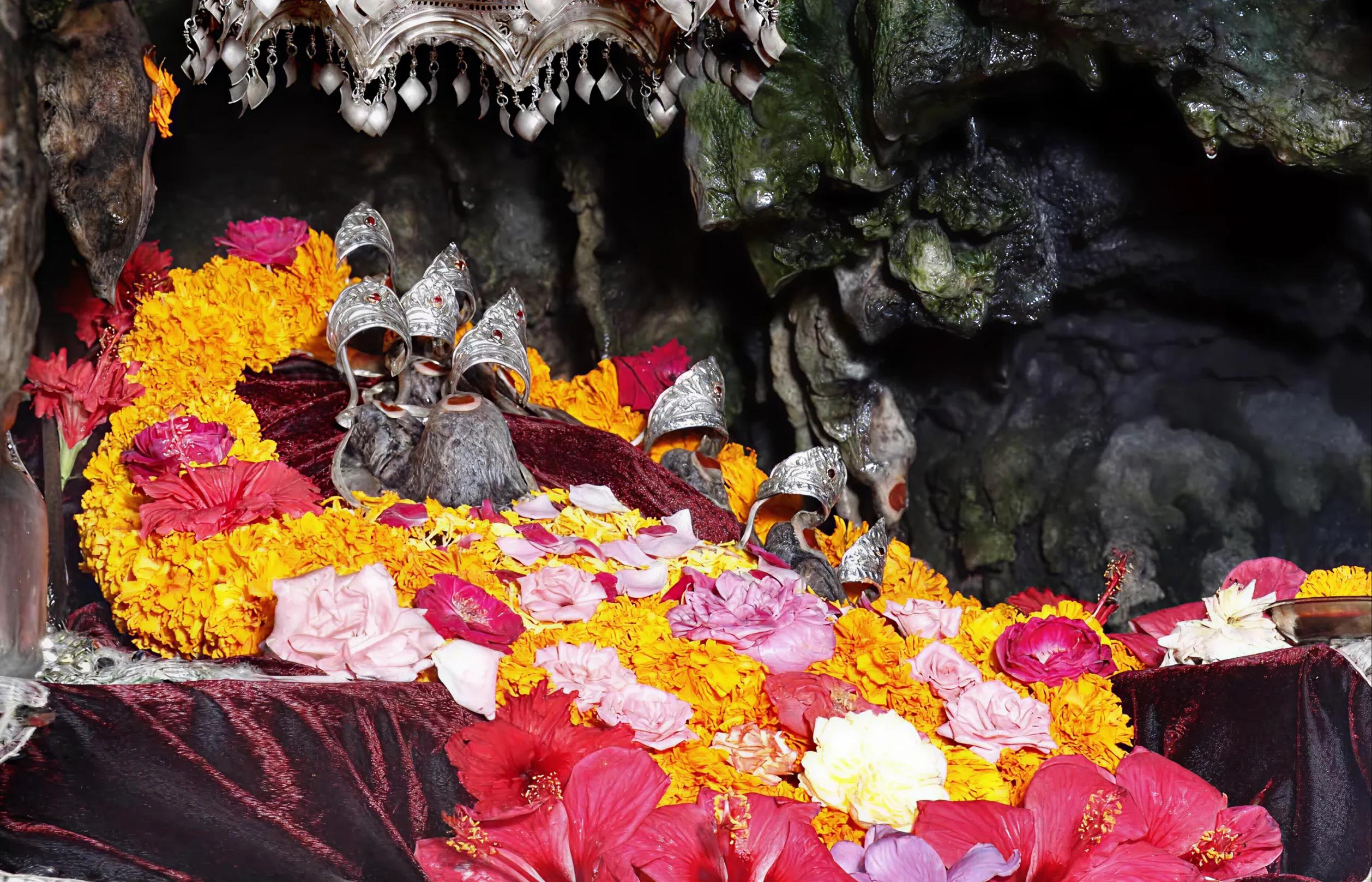 Vaishno Devi Tirth Kshetra, Nav Durga Temple, Katra, Jammu
