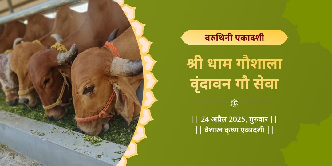 वरुथिनी एकादशी श्री धाम गौशाला गौसेवा