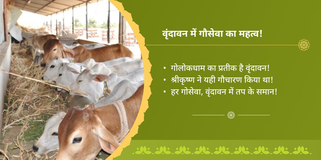 वरुथिनी एकादशी श्री धाम गौशाला गौसेवा