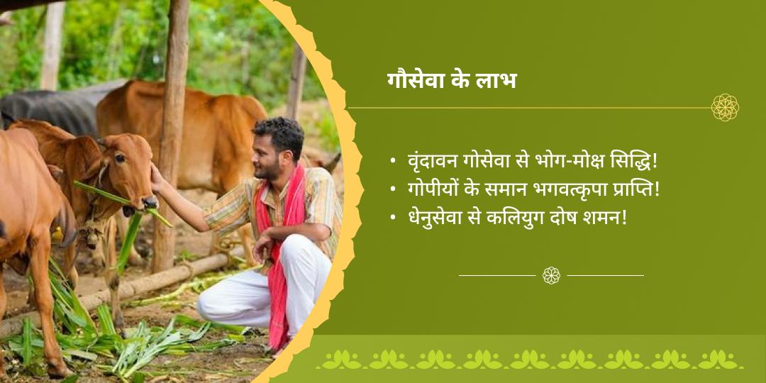 वरुथिनी एकादशी श्री धाम गौशाला गौसेवा