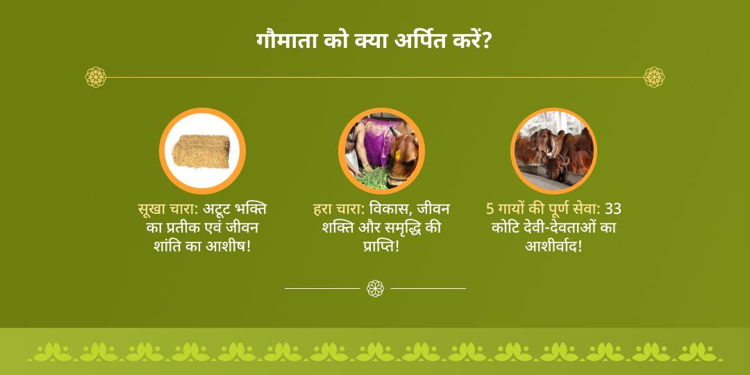 वरुथिनी एकादशी श्री धाम गौशाला गौसेवा