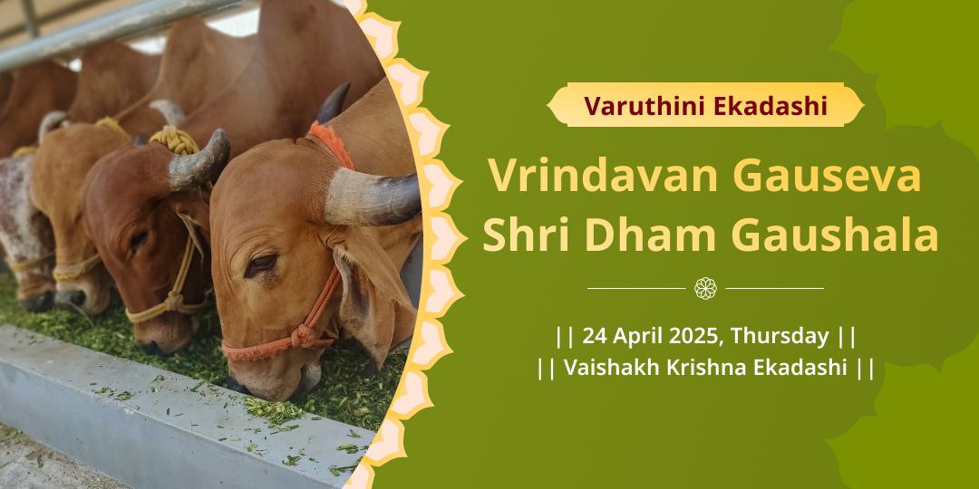 Varuthini Ekadashi Special Vrindavan Gauseva