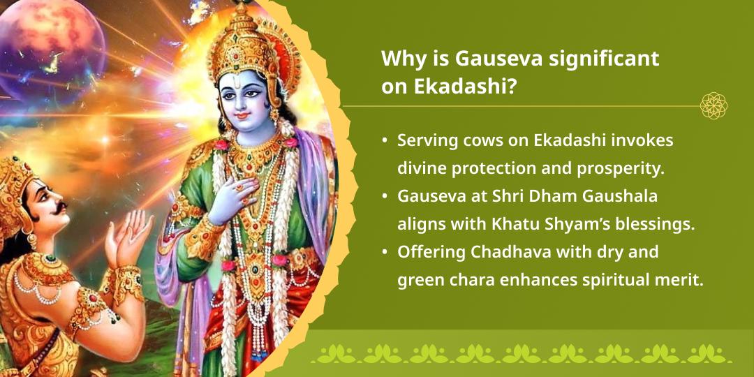 Varuthini Ekadashi Special Vrindavan Gauseva