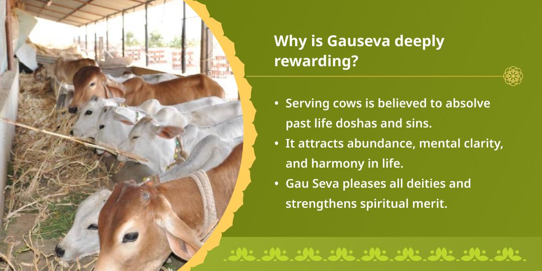 Varuthini Ekadashi Special Vrindavan Gauseva