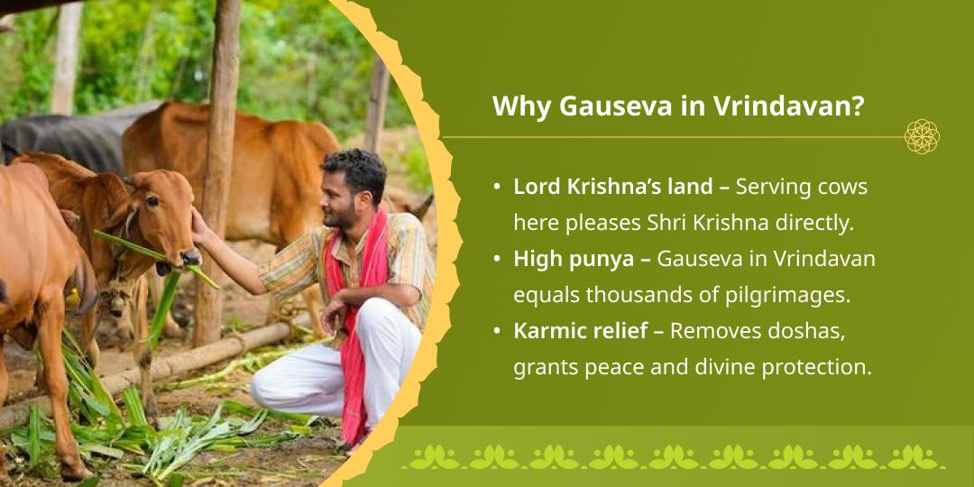 Varuthini Ekadashi Special Vrindavan Gauseva
