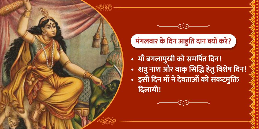 मंगलवार विशेष हवन आहुति दान बगलामुखी धाम