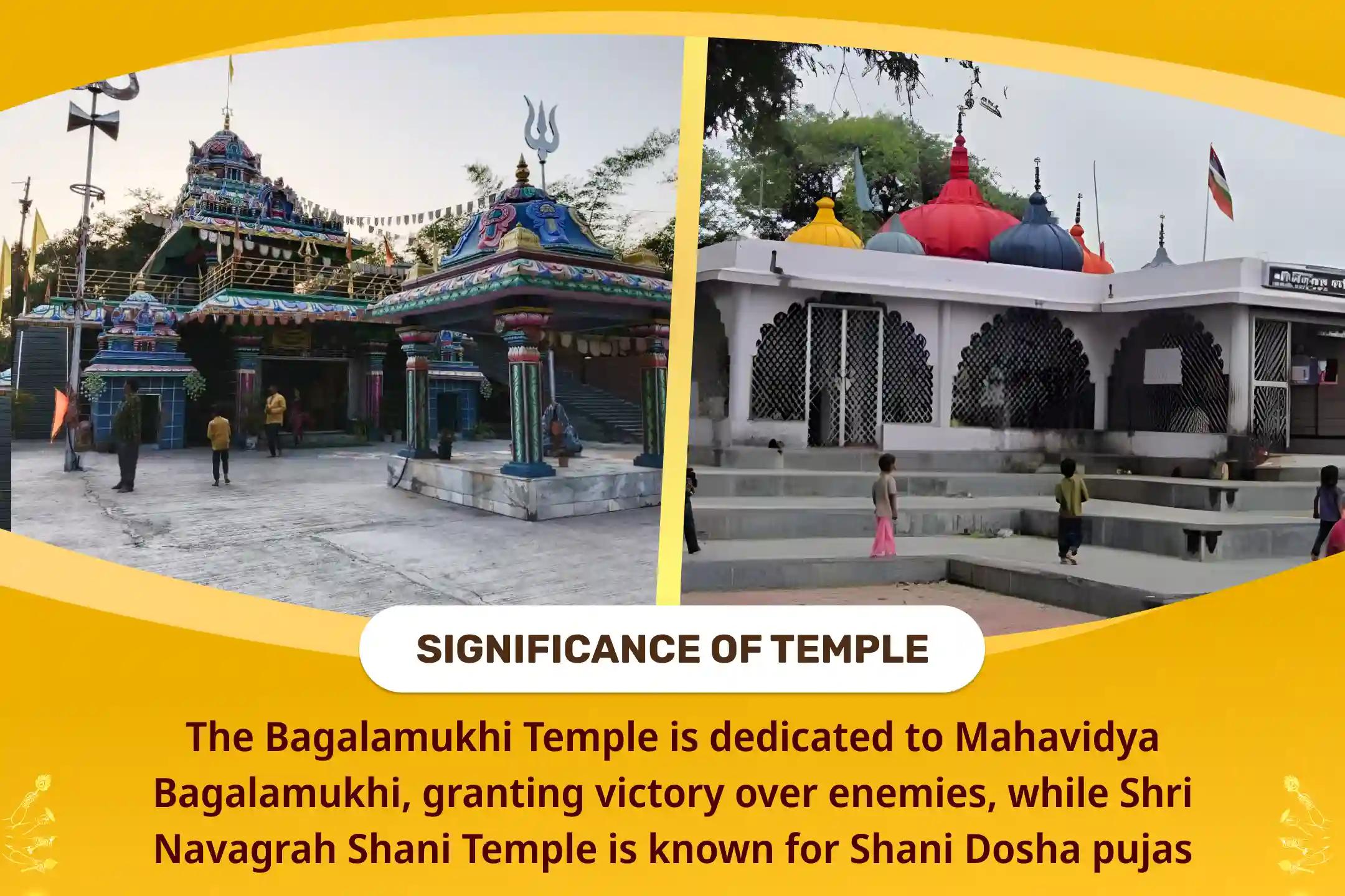 Justice and Triumph Shani-Bagalmukhi Special Legal Victory Sankalp Puja and Shani-Bagalamukhi Havan For Victory over Enemies and in Court Cases
