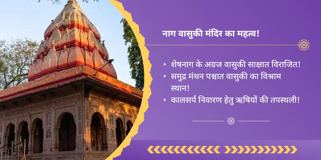 अमावस्या सर्प दोष एवं राहु-केतु शांति नाग वासुकी चढ़ावा