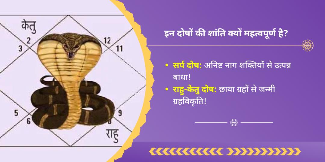 अमावस्या सर्प दोष एवं राहु-केतु शांति नाग वासुकी चढ़ावा