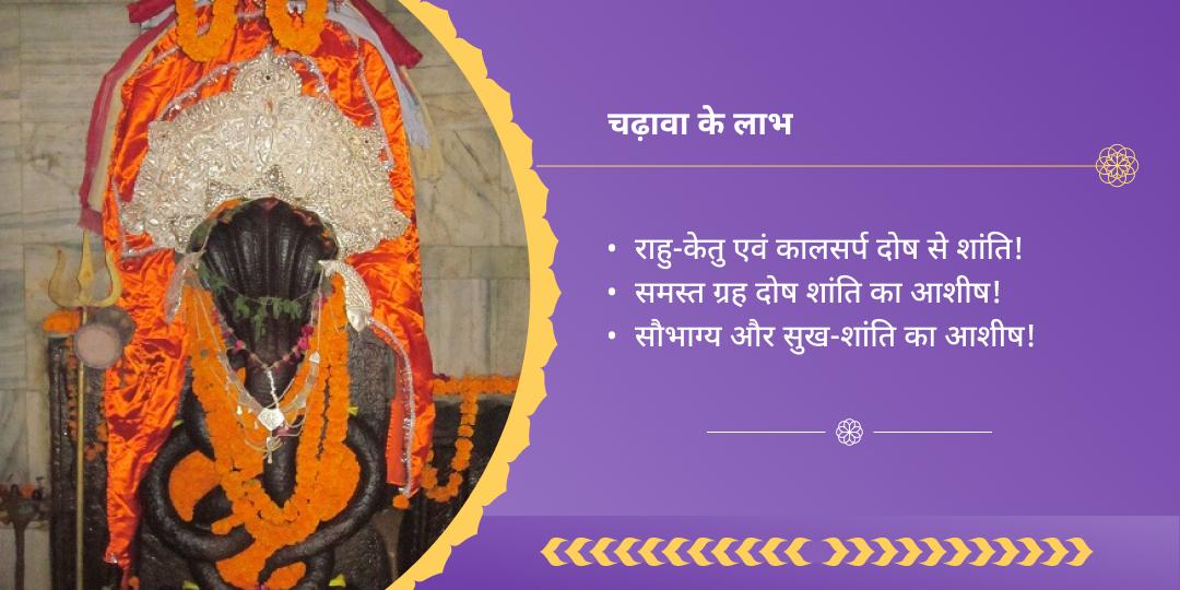 अमावस्या सर्प दोष एवं राहु-केतु शांति नाग वासुकी चढ़ावा