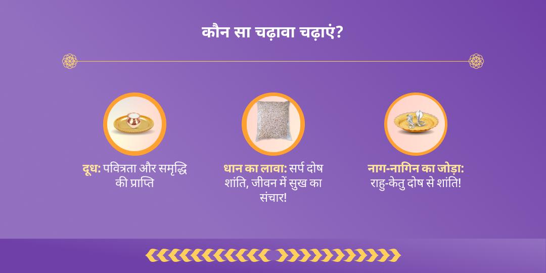 अमावस्या सर्प दोष एवं राहु-केतु शांति नाग वासुकी चढ़ावा