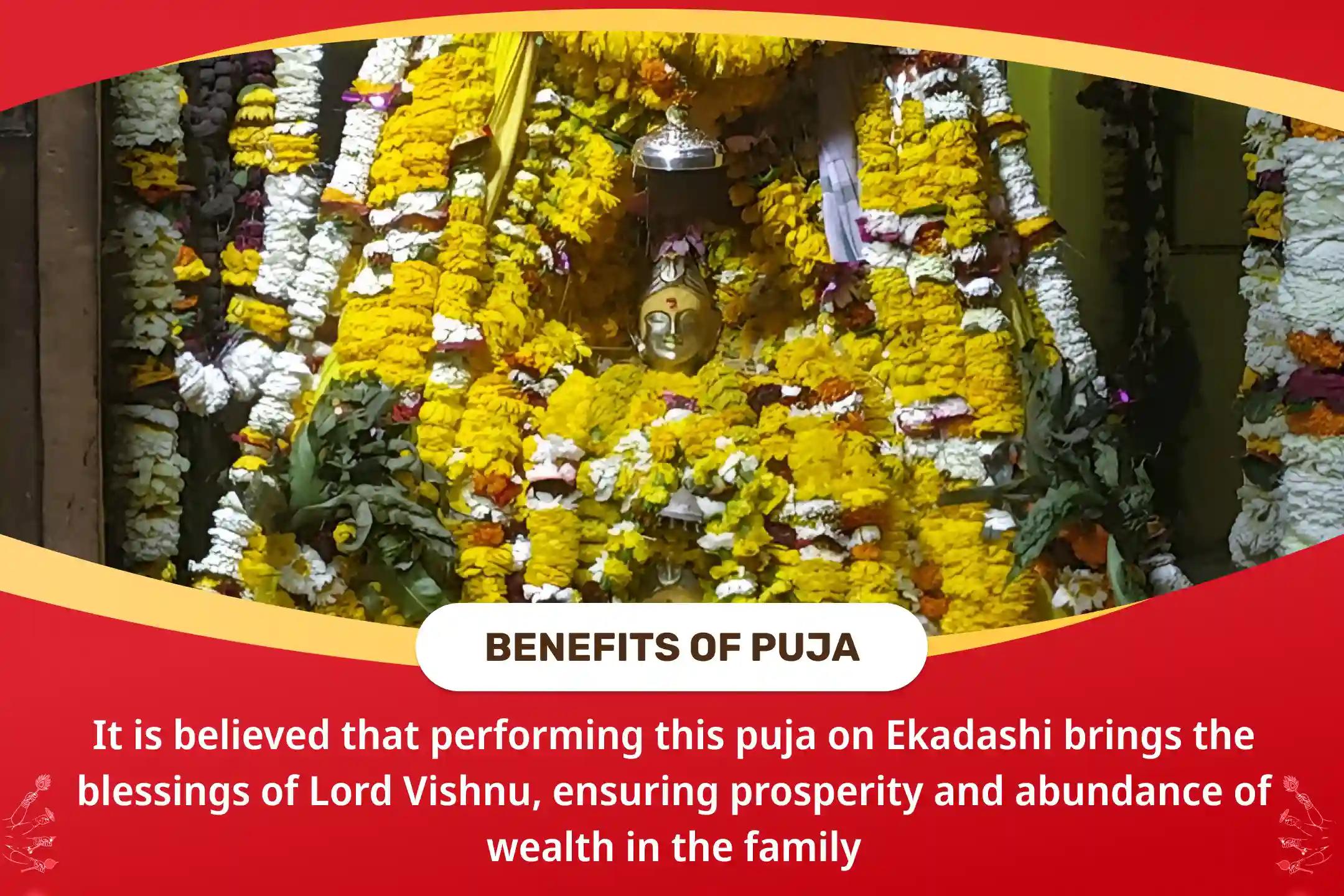 Ekadashi Wealth and Prosperity Special Vishnu Puja and Havan for Blessings of Prosperity and Abundance in Family