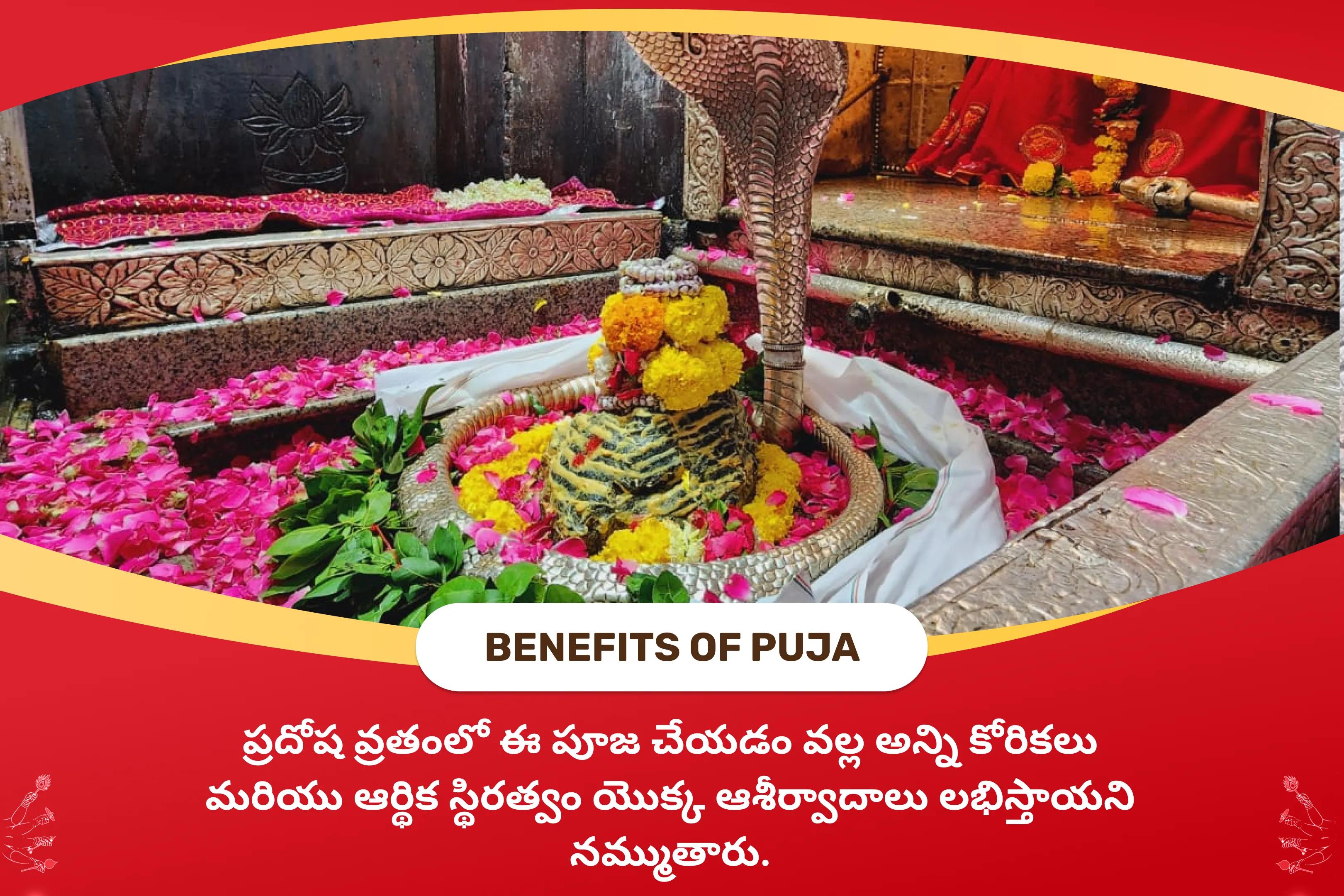 ప్రదోష వ్రత శివ పూజ ప్రత్యేక పూజ శివ రుద్రభిషేకం మరియు రుద్ర హోమం అన్ని కోరికలు మరియు ఆర్థిక స్థిరత్వం నెరవేర్చడానికి