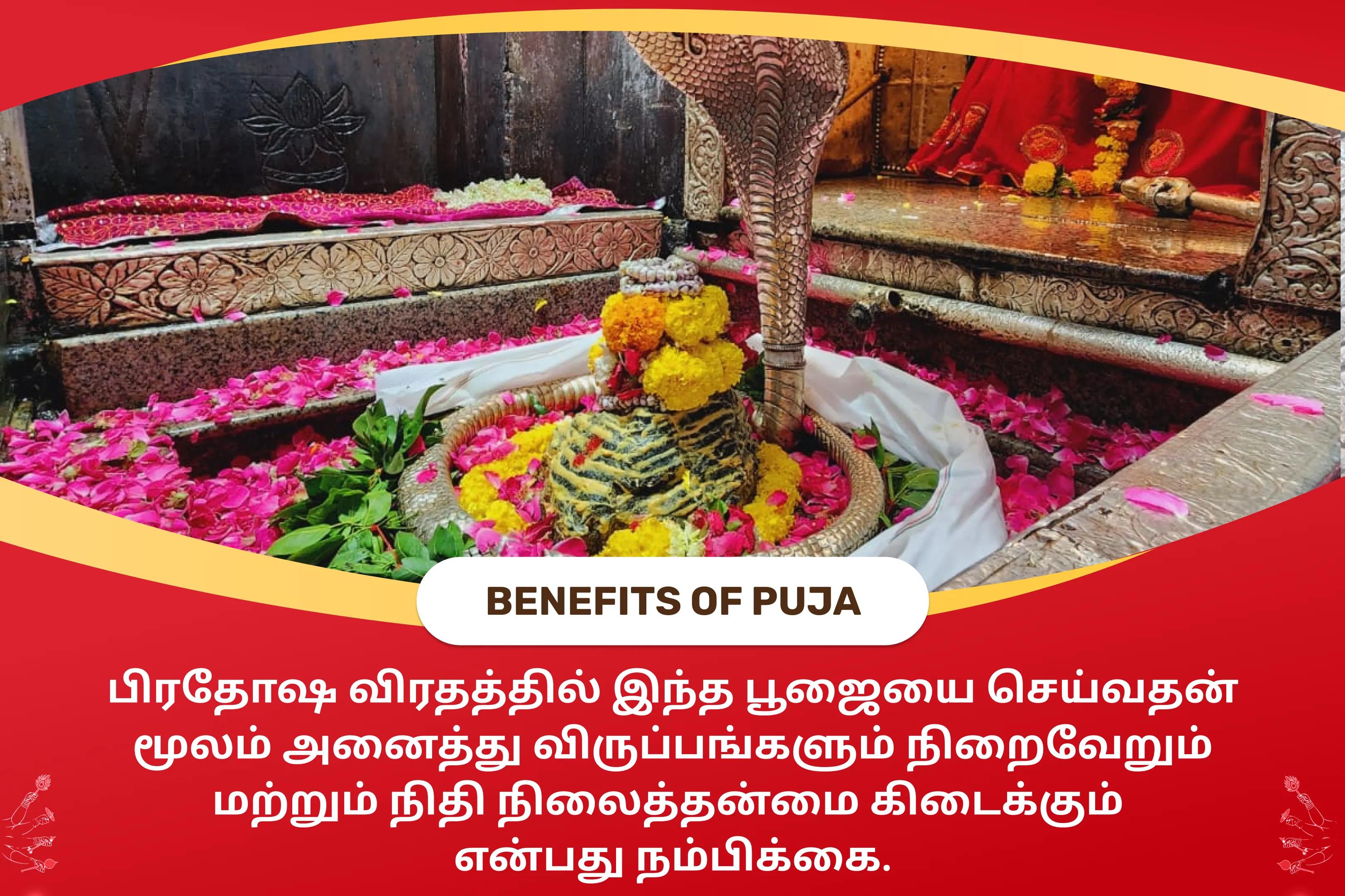 அனைத்து விருப்பங்கள் நிறைவேறவும் நிதி நிலைத்தன்மைக்காகவும் பிரதோச விரதம் சிவ பூஜை சிறப்பு சிவ ருத்ராபிஷேகம் மற்றும் ருத்ர ஹோமம்