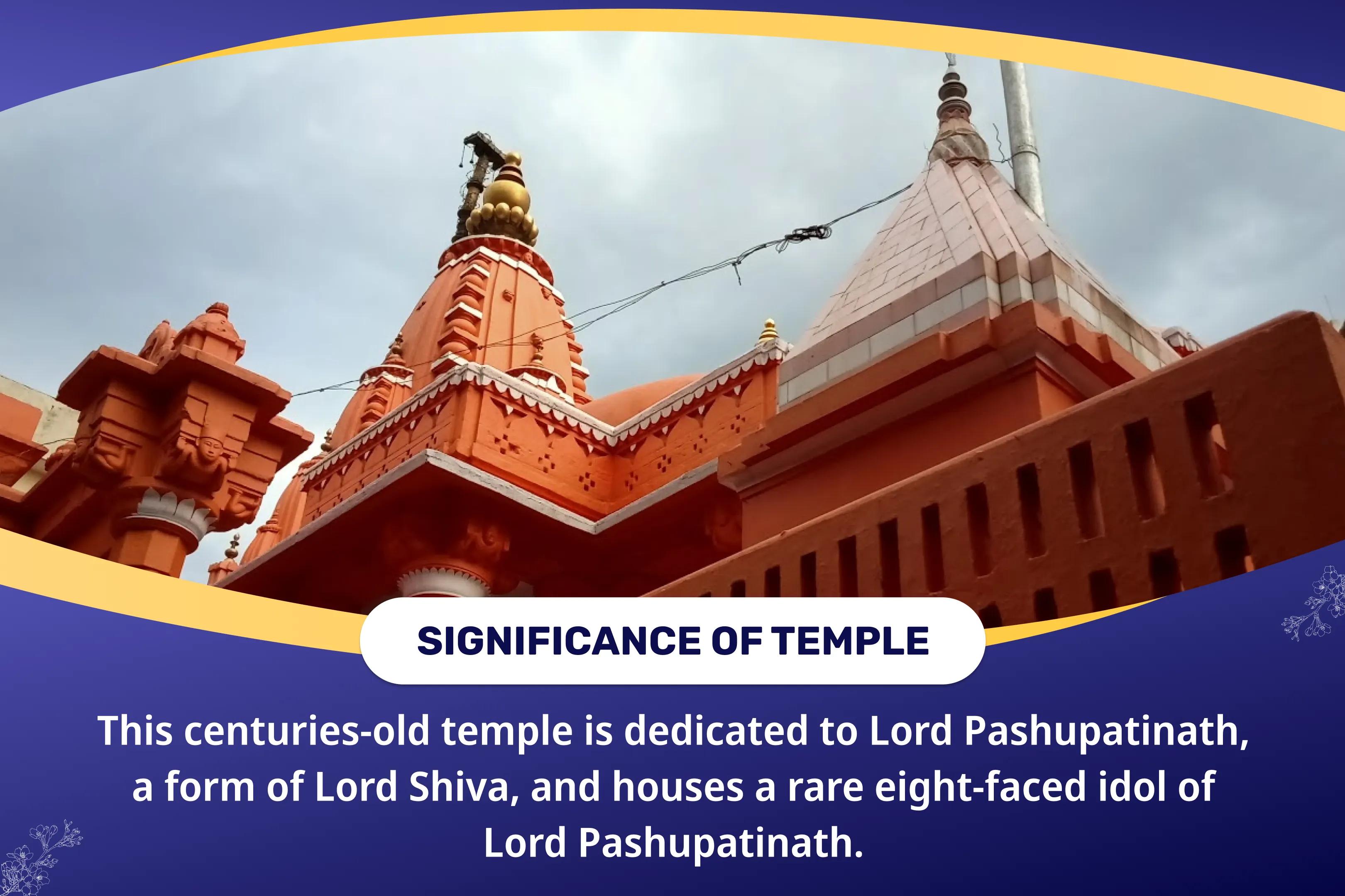 Rahu-Ketu Shanti Nakshatra Special Rahu-Ketu Peeda Shanti Puja and Shiv Rudrabishek for Blessing of Mental Clarity and Improved Decision-Making