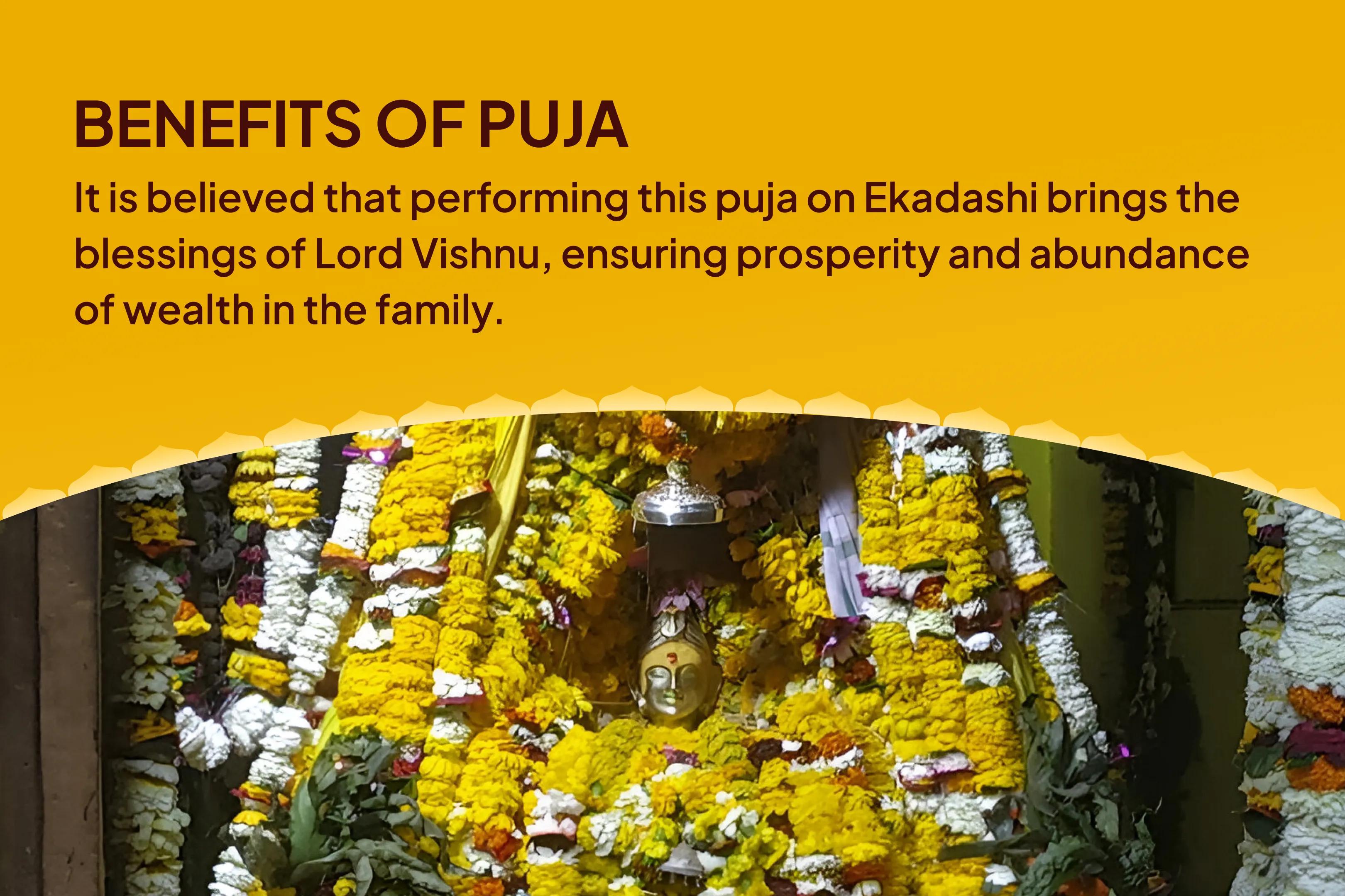 Ekadashi Wealth and Prosperity Special Vishnu Puja and Havan for Blessings of Prosperity and Abundance in Family